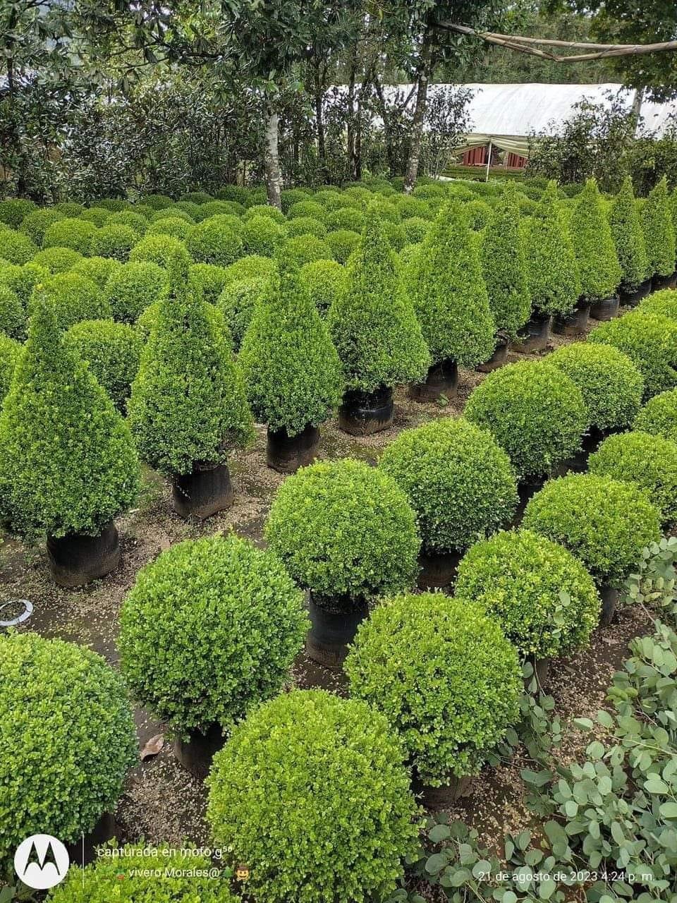 WhatsApp Image 2026-01-27 at 11.28.41 PM.jpeg