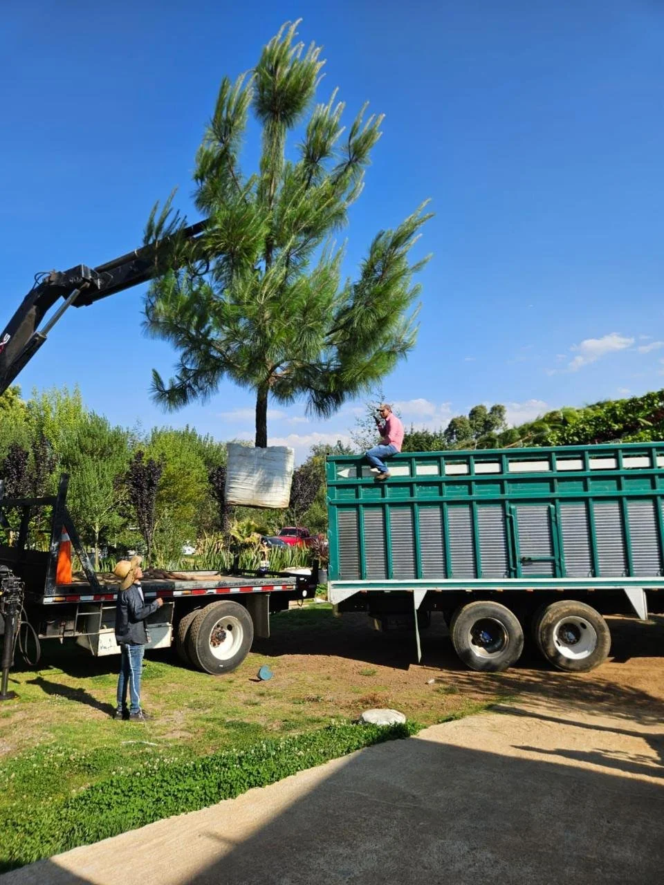 WhatsApp Image 2026-01-27 at 11.29.07 PM.jpeg