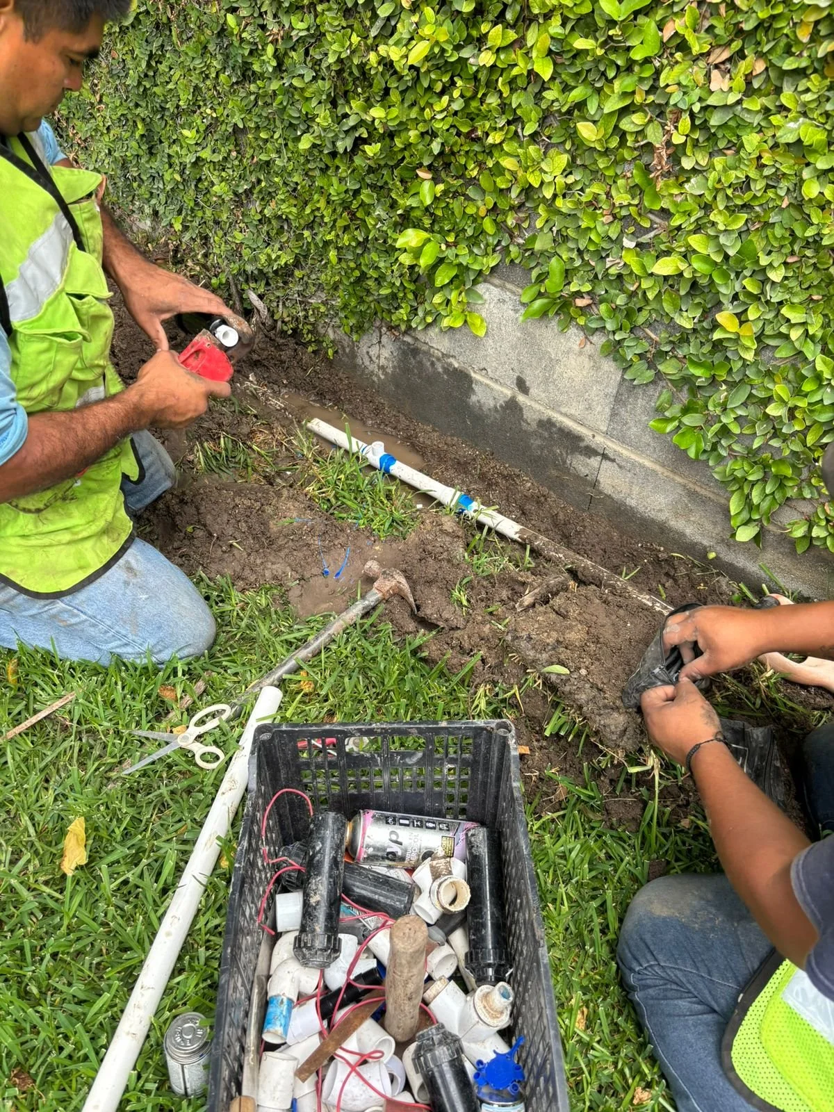 WhatsApp Image 2026-01-27 at 9.44.41 PM.jpeg