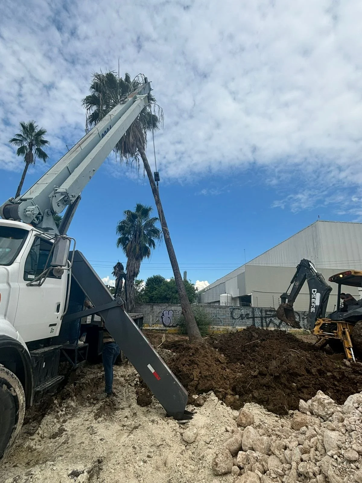 WhatsApp Image 2026-01-27 at 9.44.29 PM.jpeg