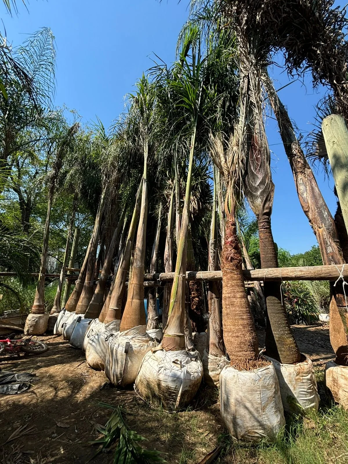 WhatsApp Image 2026-01-27 at 9.44.29 PM (1).jpeg