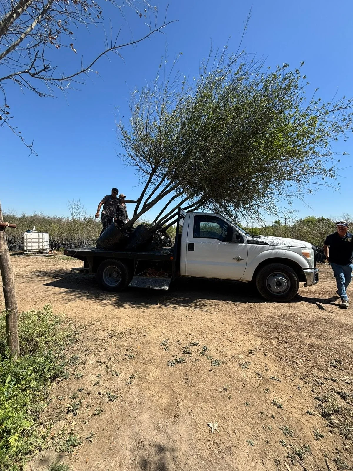 WhatsApp Image 2026-01-27 at 9.44.38 PM (1).jpeg