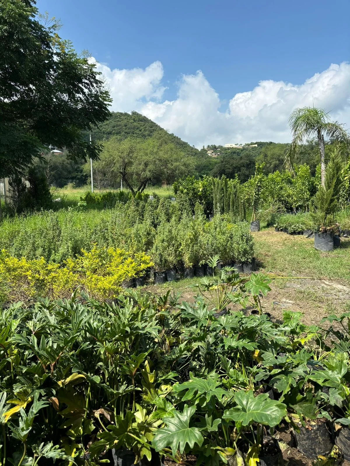 WhatsApp Image 2026-01-27 at 9.44.28 PM (3).jpeg