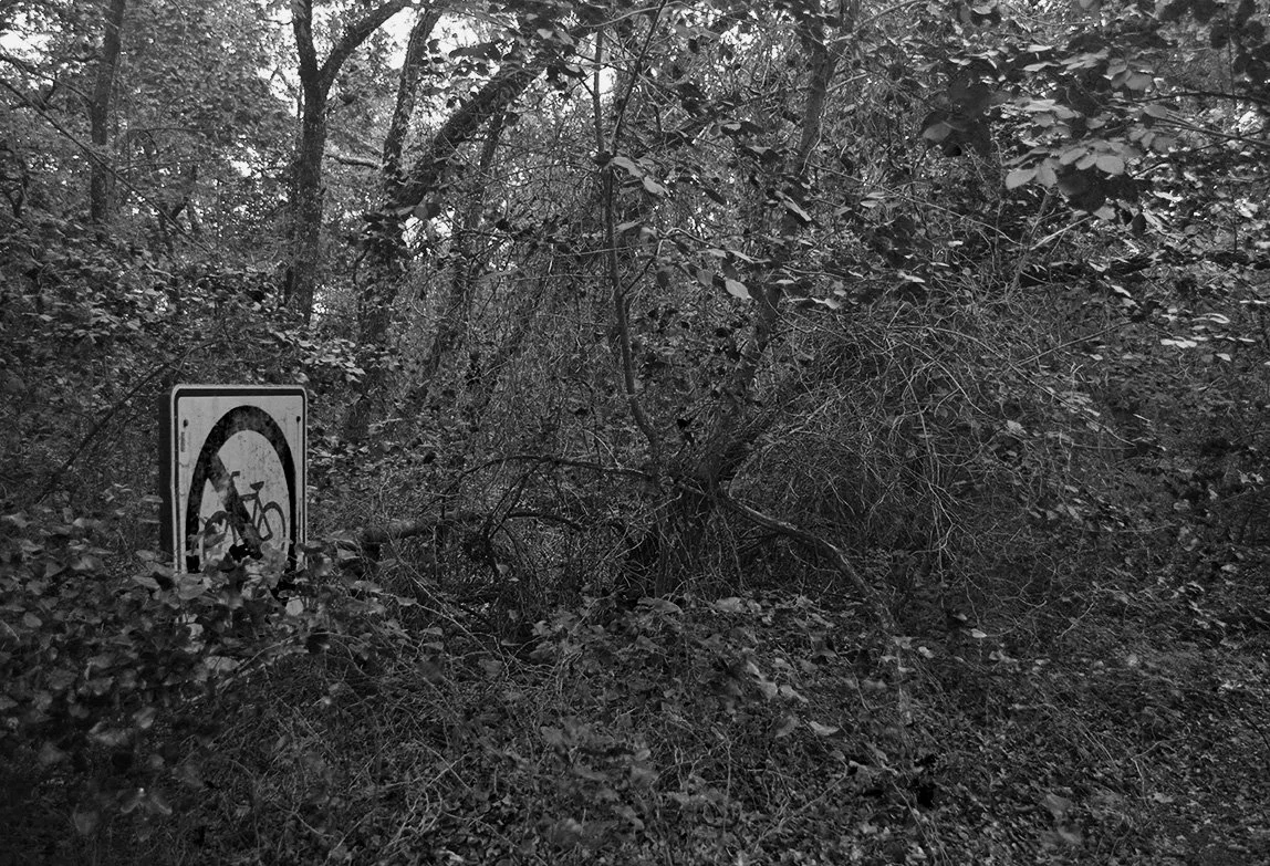 The Beaten Path (2025)