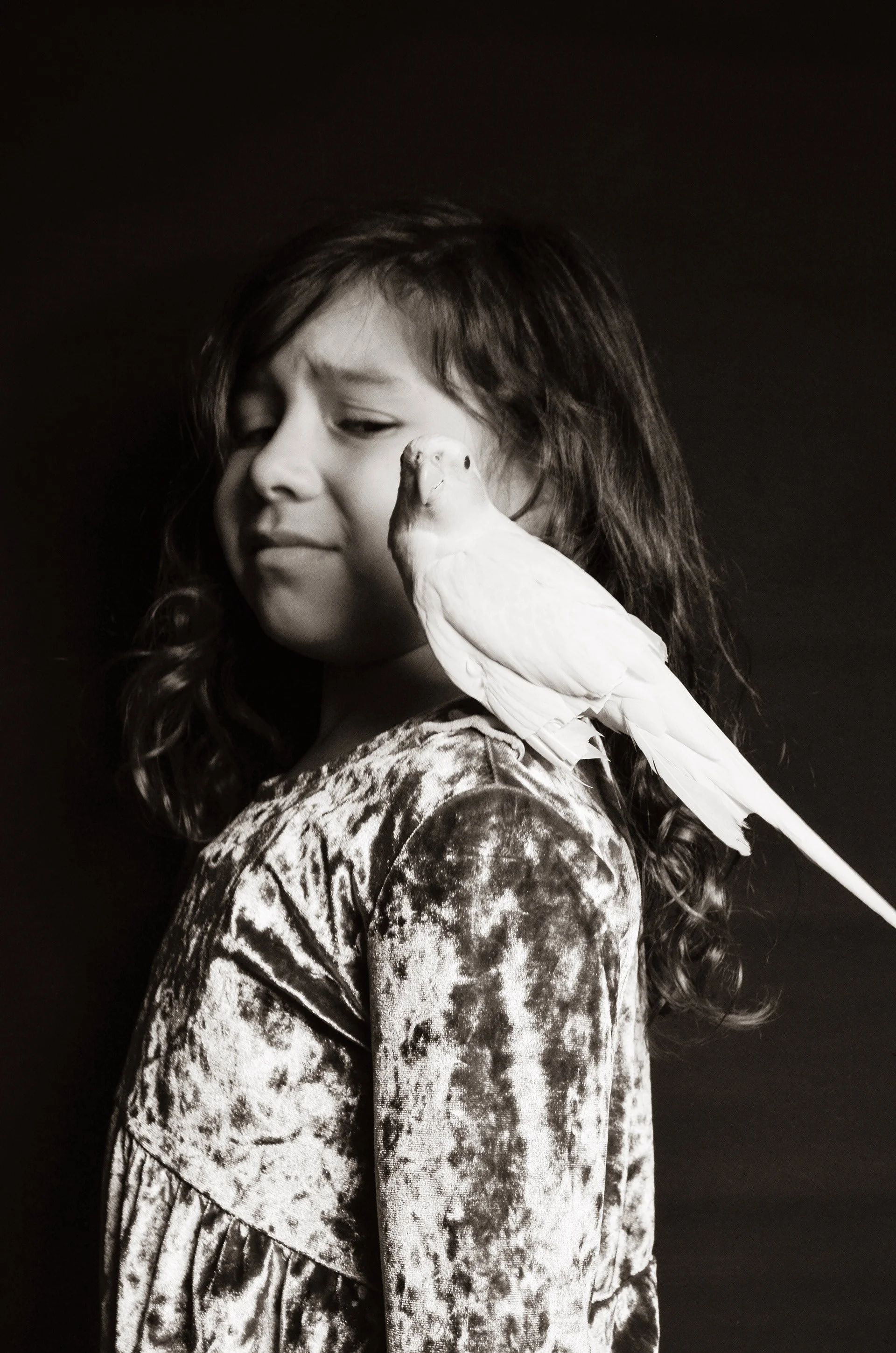 Ornithophobia (2018)