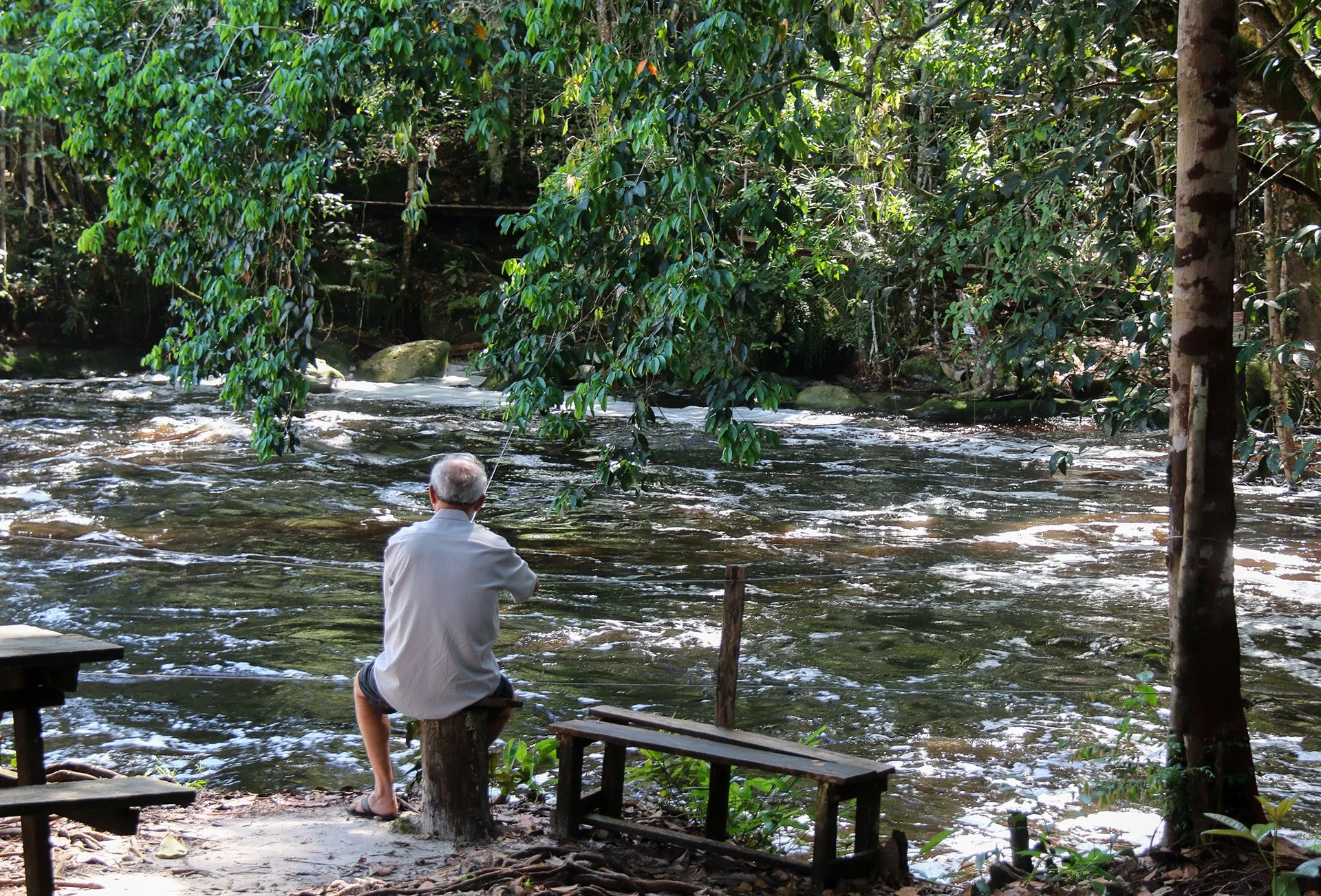 Serene Mornings (2022)