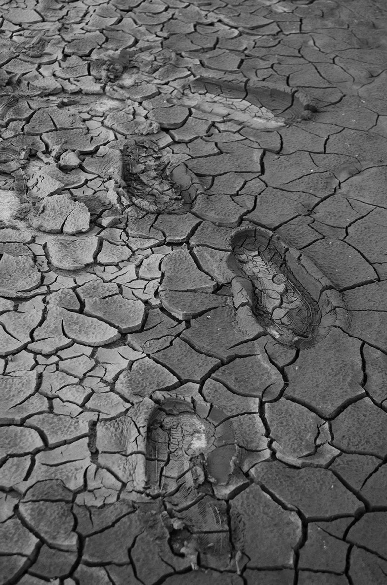 Follow In My... (2025)