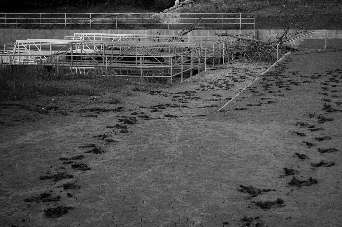 The Trinity River (2025)