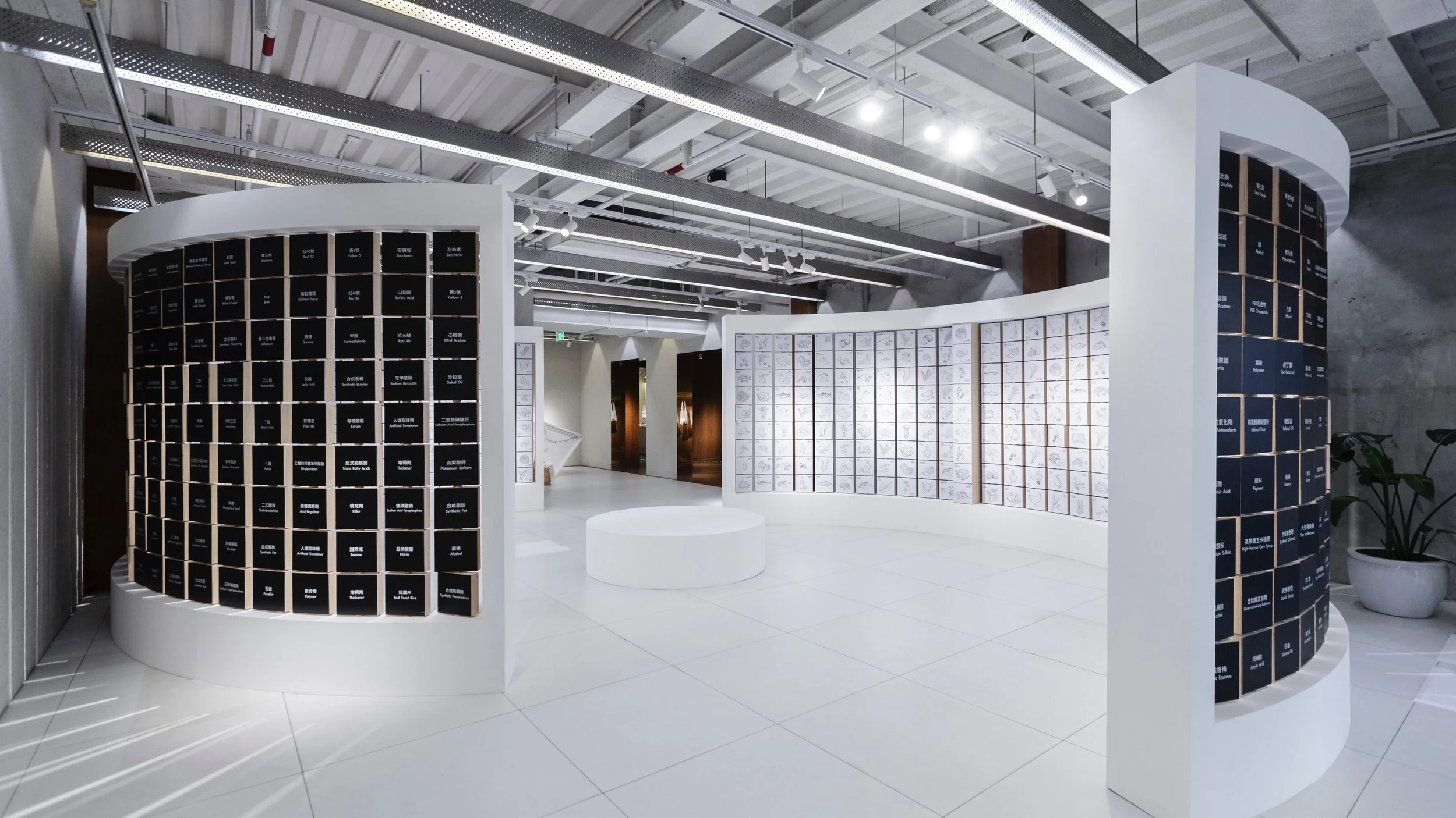 Interior of a modern gallery or exhibition space featuring curved display walls with small, square storage compartments labeled with text, and framed illustrations or sketches on the walls.