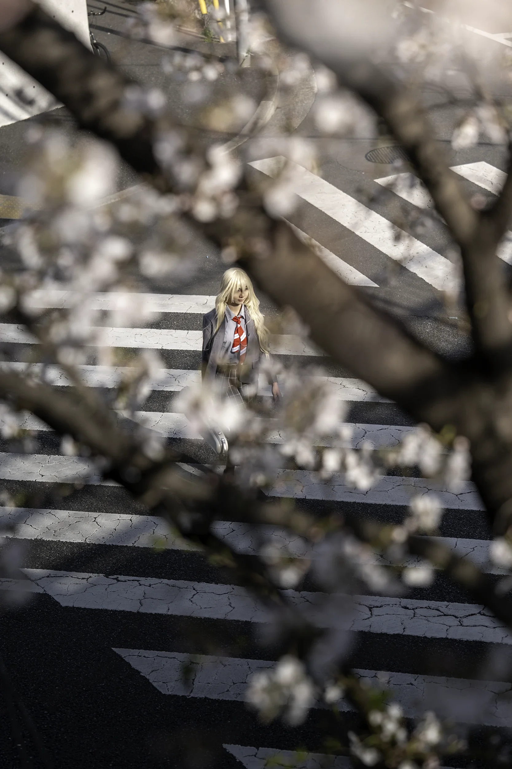 Cherry blossom 01.webp