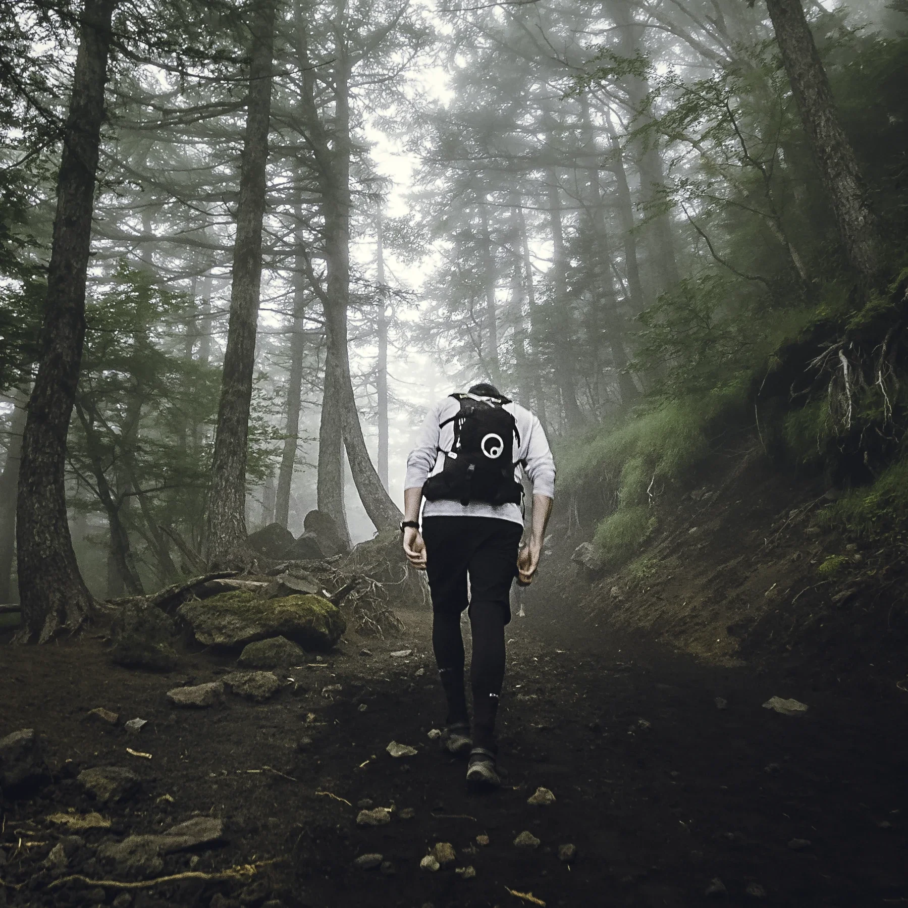 Climb Mount Fuji 04.webp