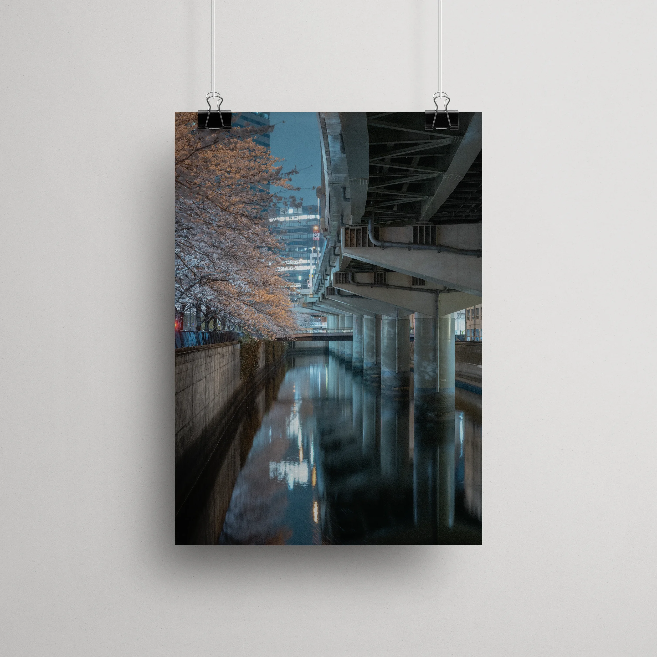 Sakura sous l’autoroute — Tokyo