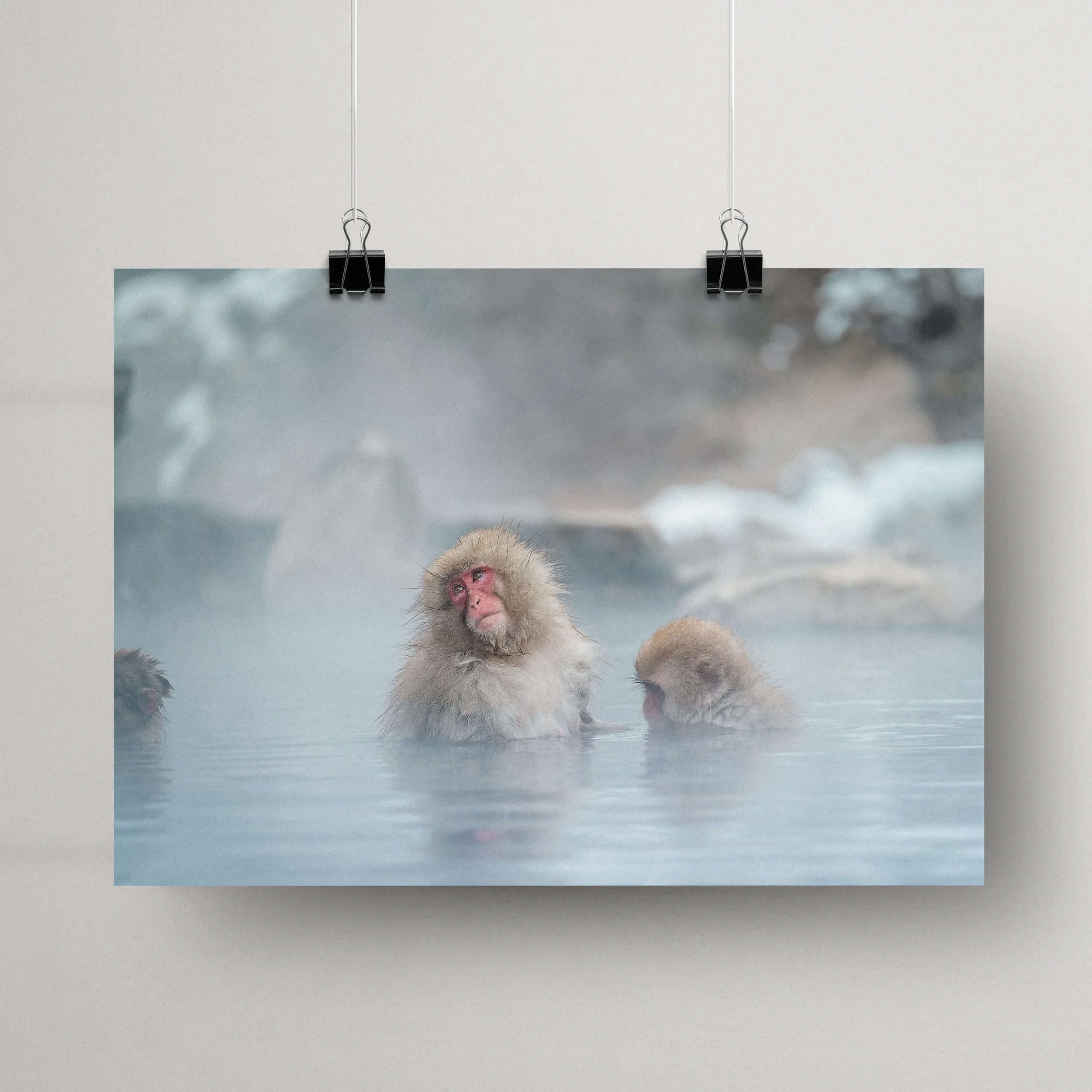 Dans la vapeur — Jigokudani, Nagano