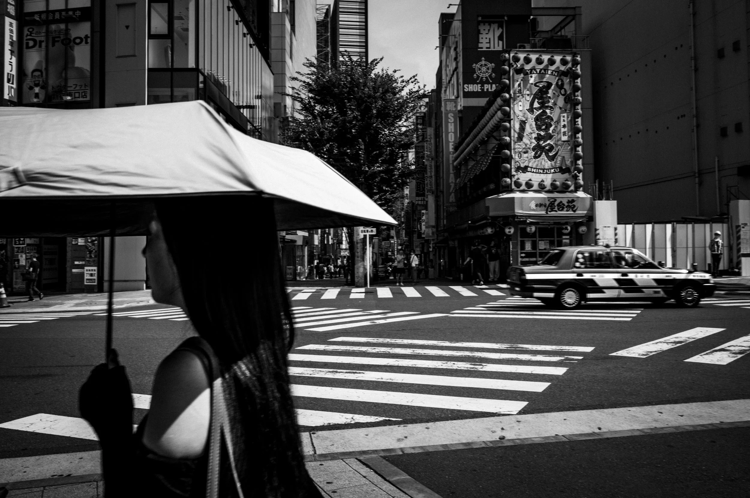 제목 없음-244.jpg