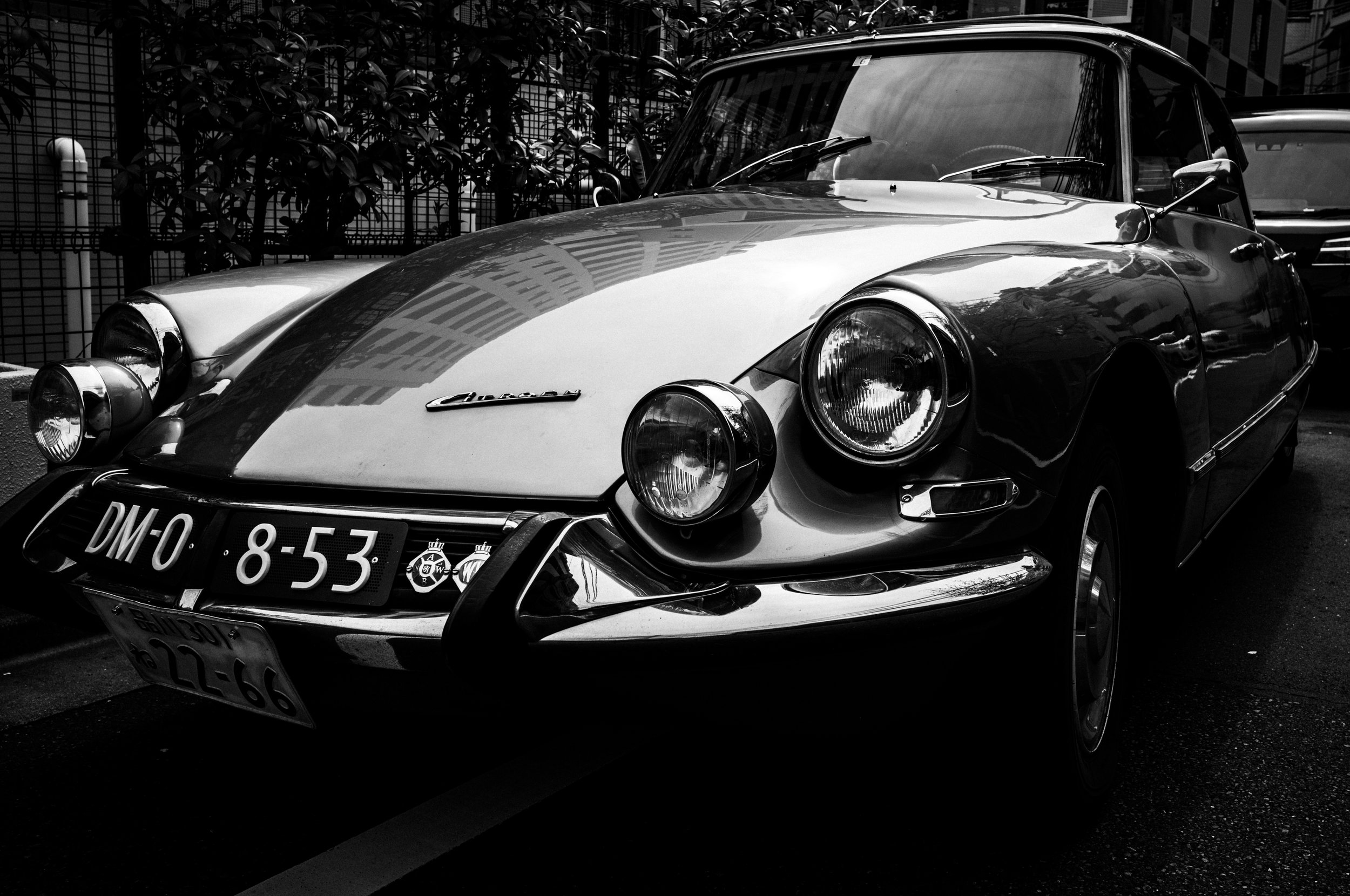 제목 없음-183.jpg