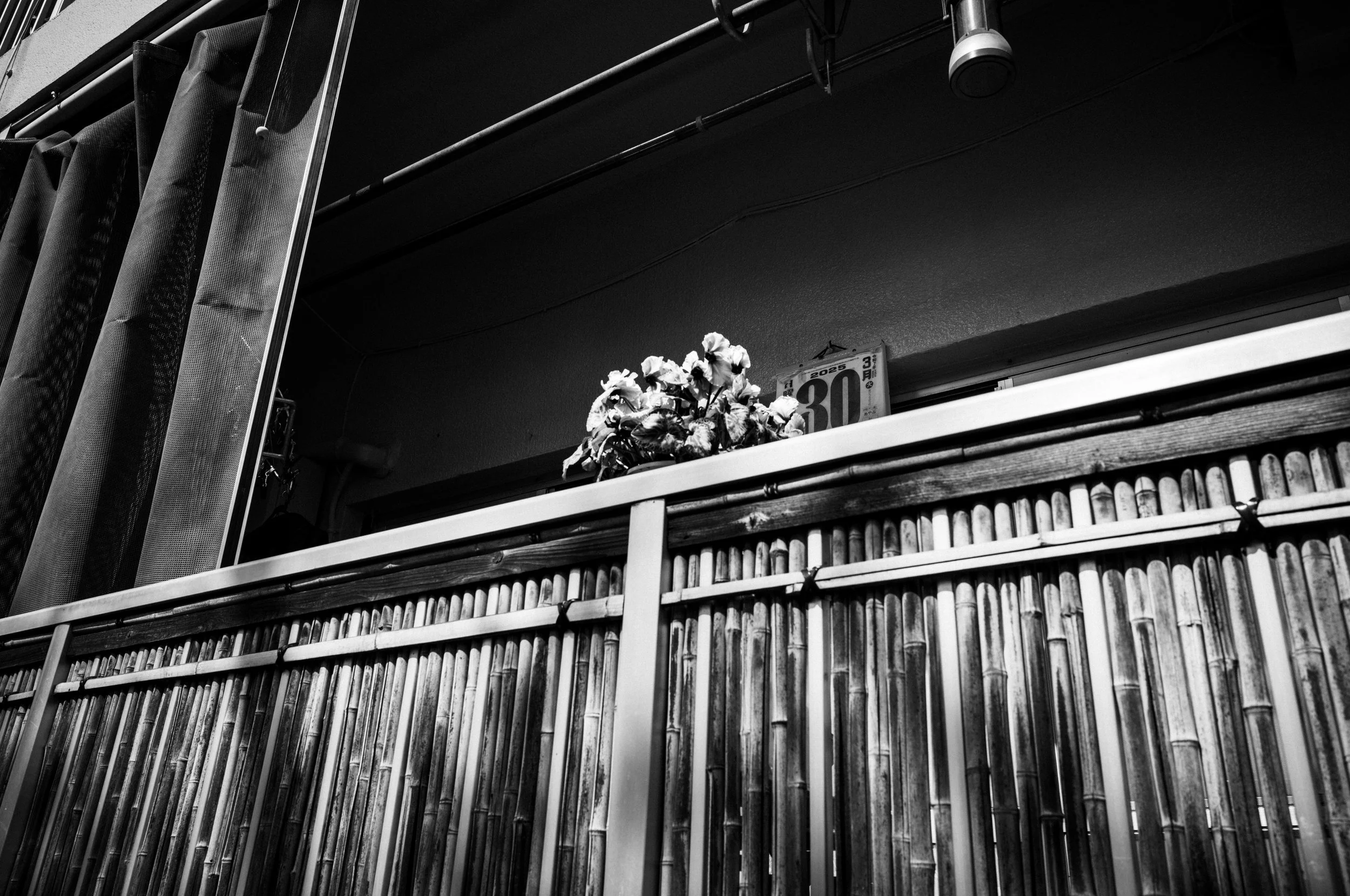 제목 없음-149.jpg