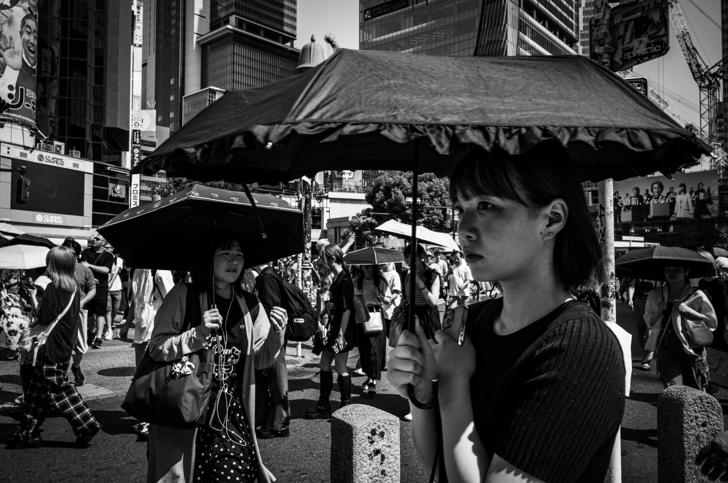 제목 없음-240.jpg