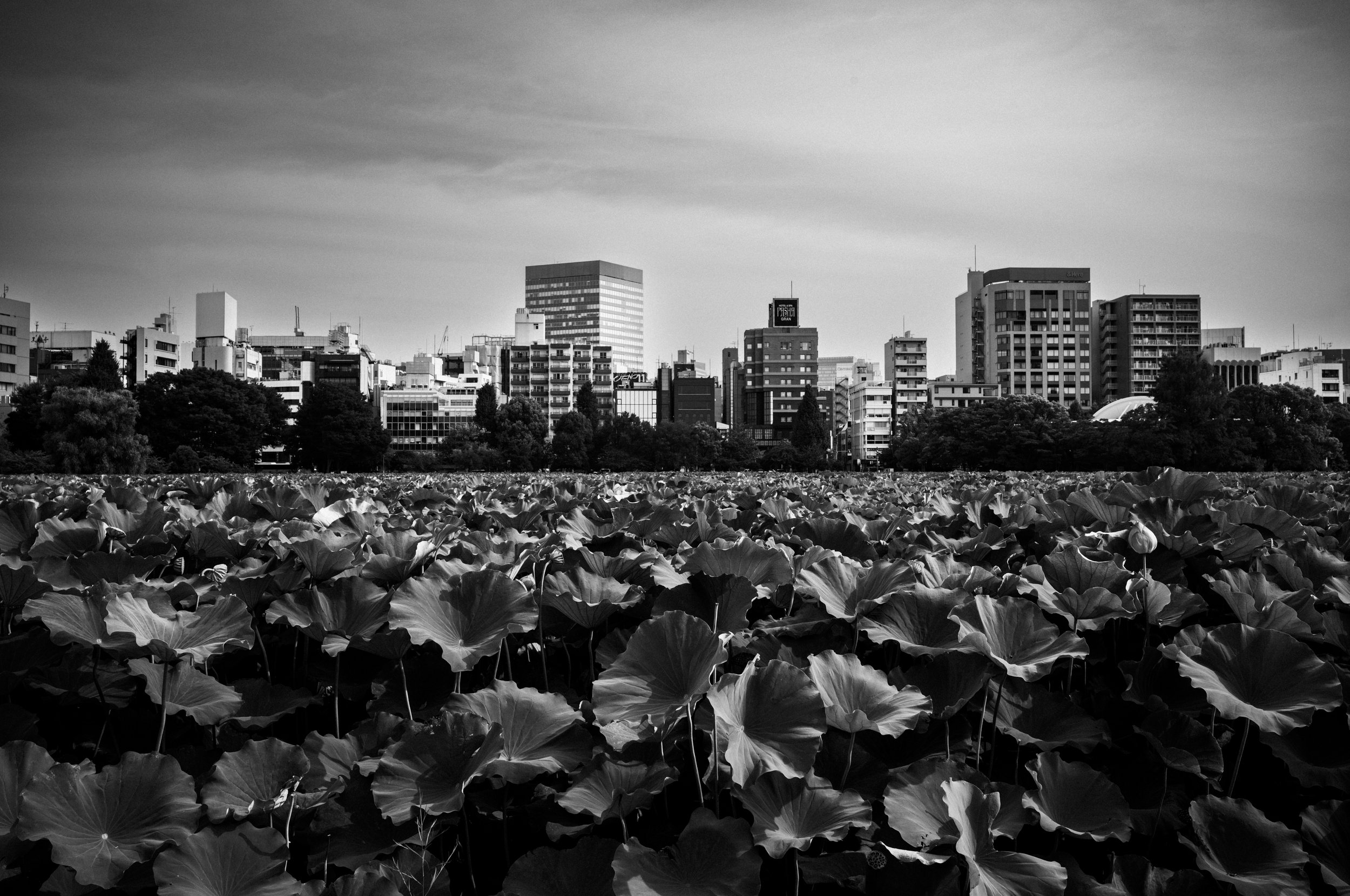 제목 없음-144.jpg