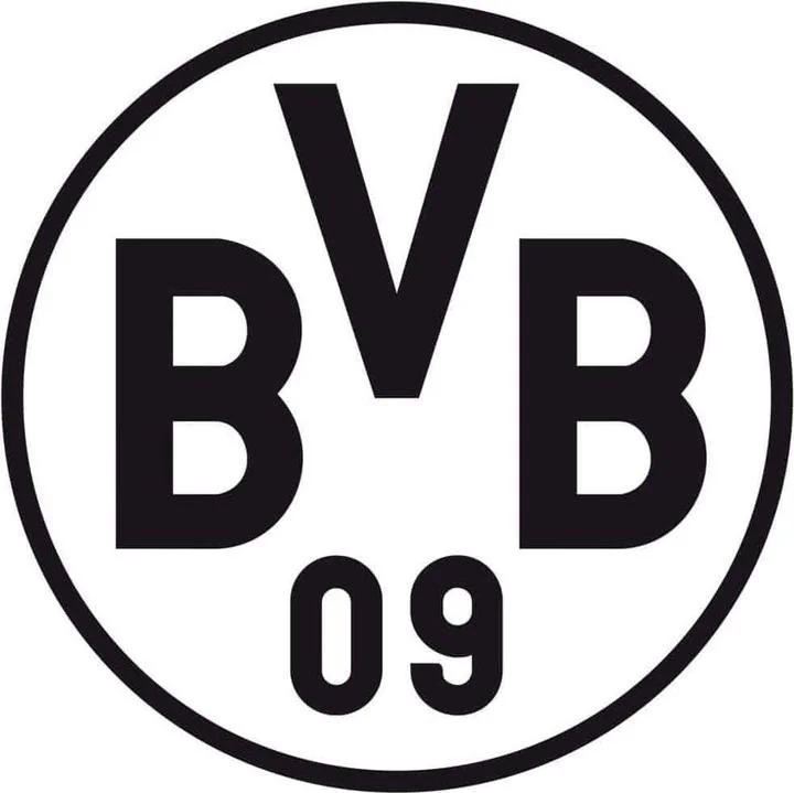 BVB.jpeg