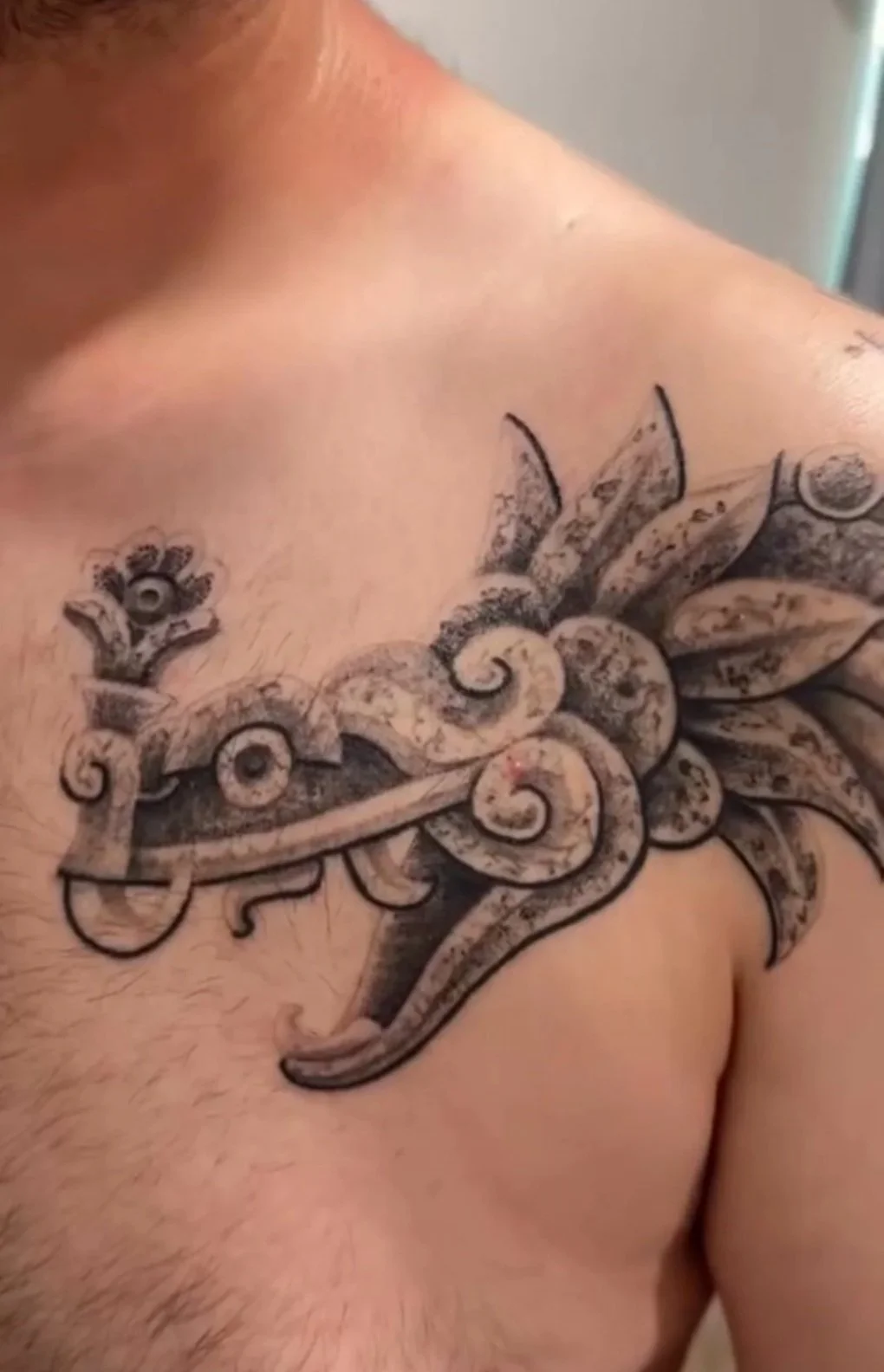 healed feathered serpent tattoo on the chest