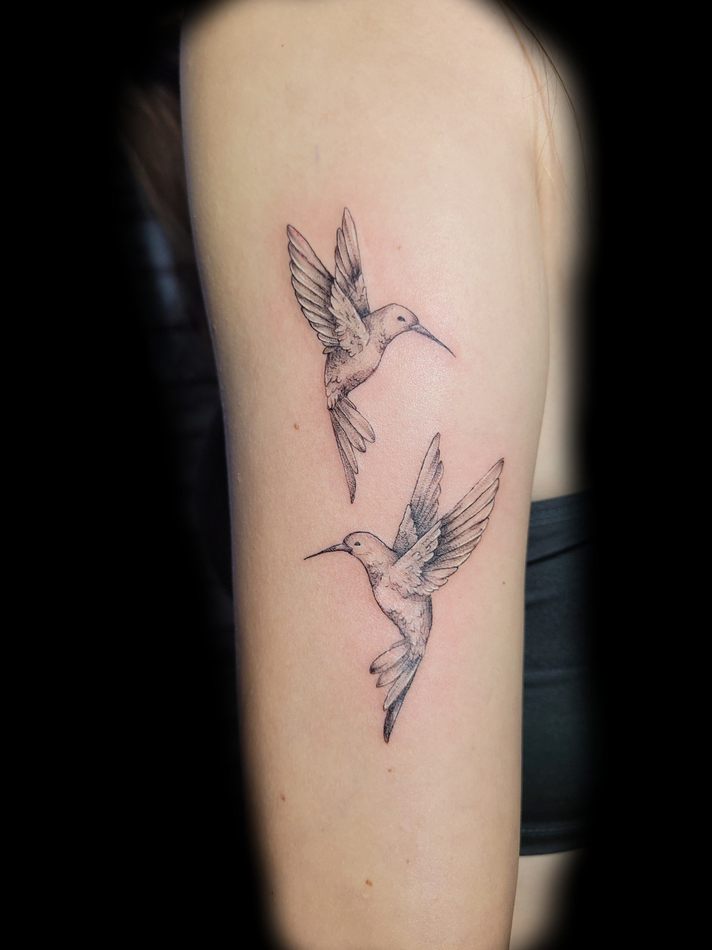 Kai-humming-birds.png