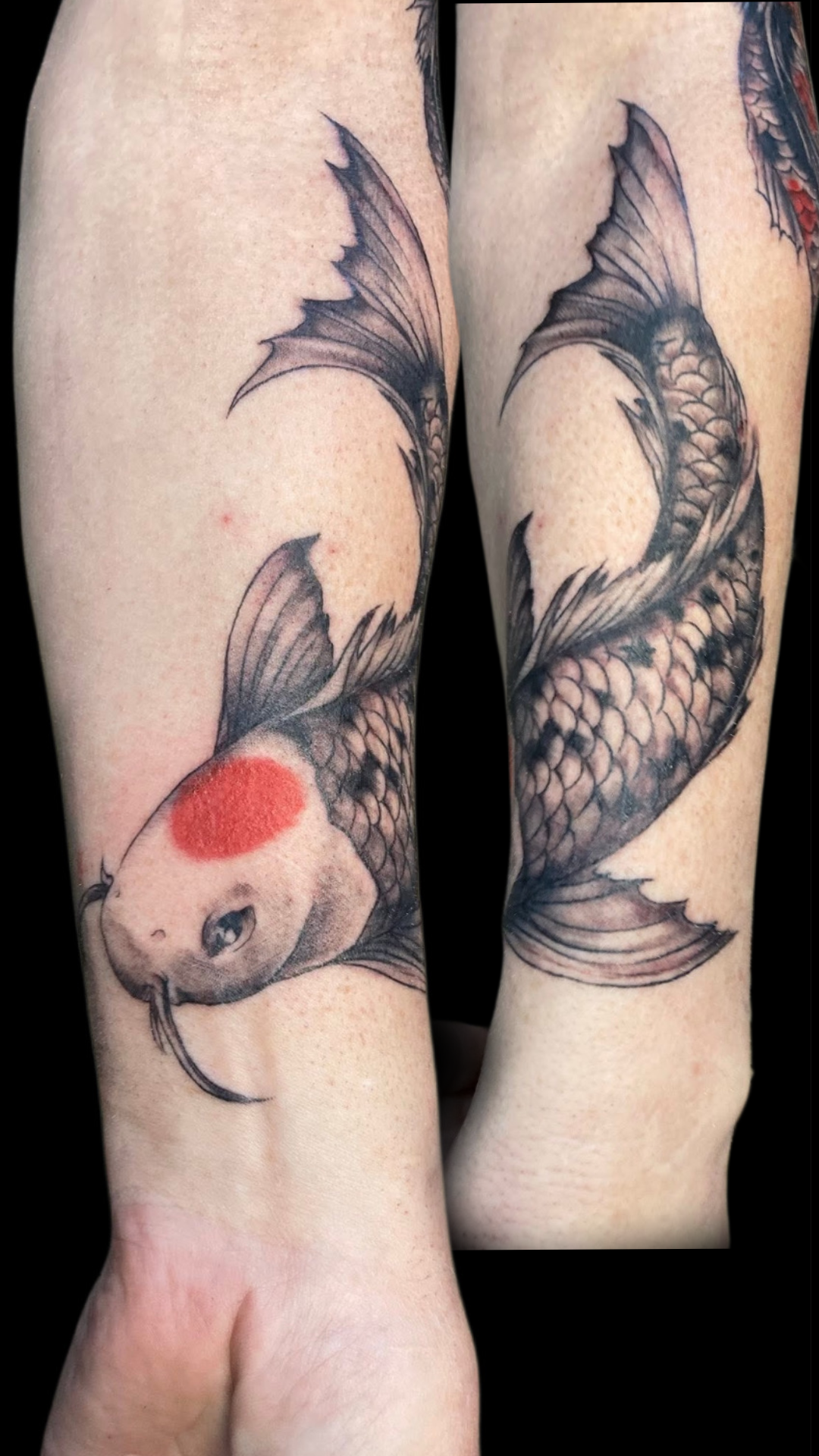 gymtv-crystal-koi.png