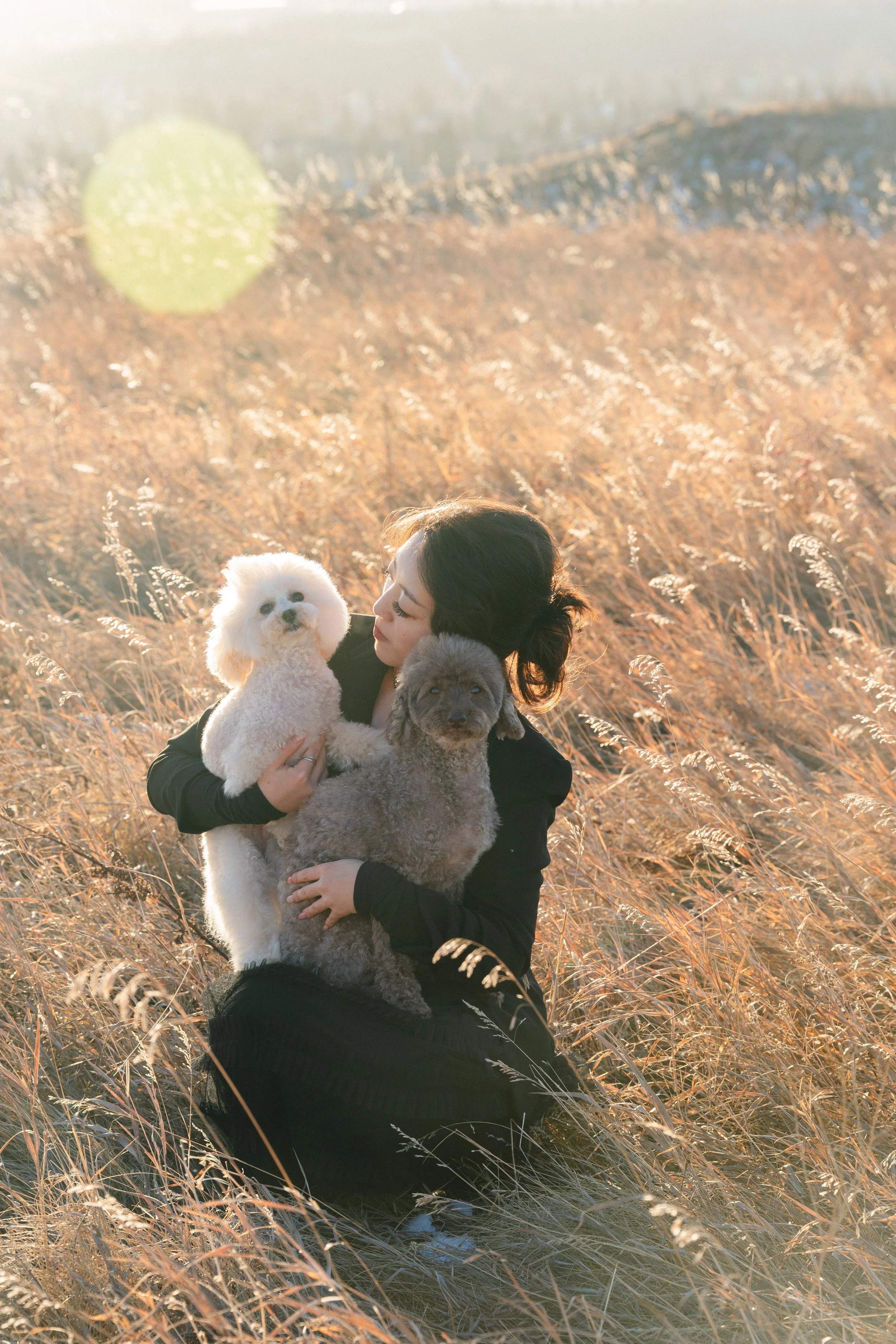 A woman in a black coat sitting in a field of tall, golden grass during sunset, holding two dogs, one white and one gray, close to her.