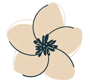 A simple illustration of a white flower with five petals and a dark center against a plain background.