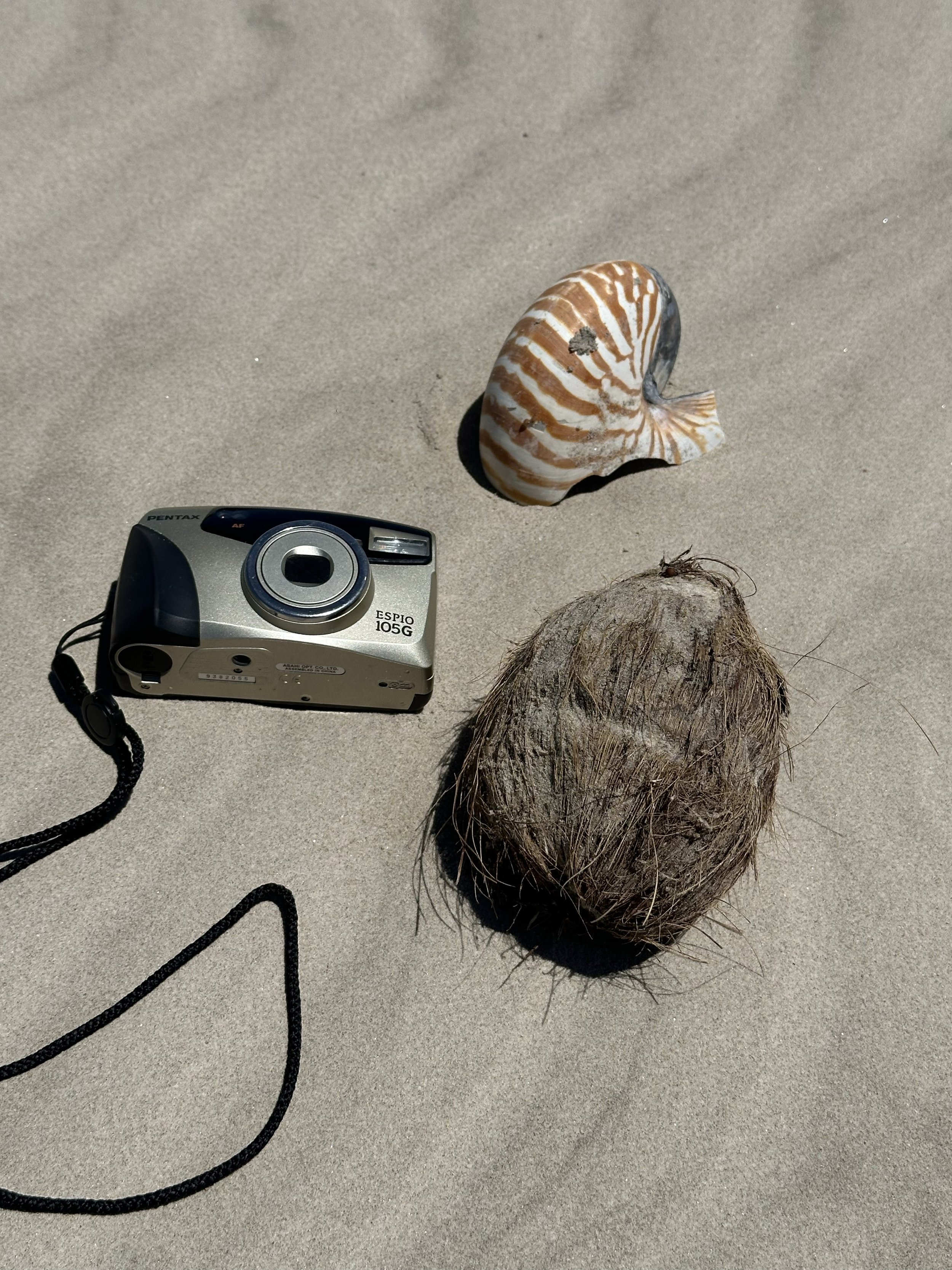 A seashell, a coconut, a vintage camera, and a piece of sand on a sandy beach.