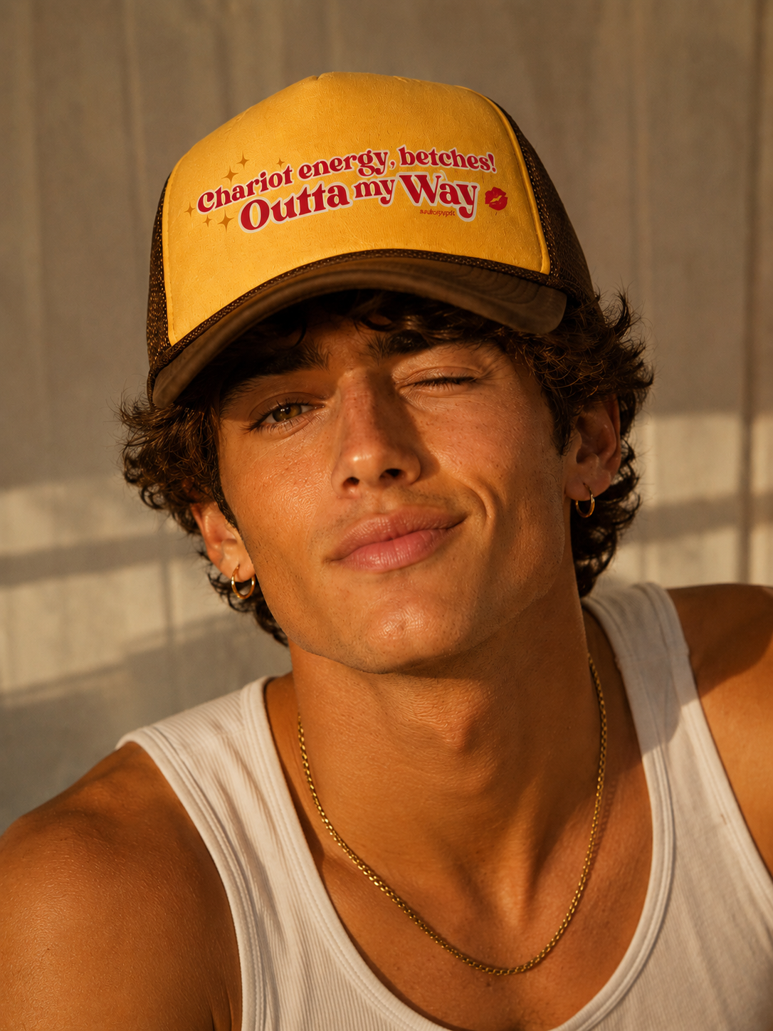 Chariot energy  TRUCKER HAT
