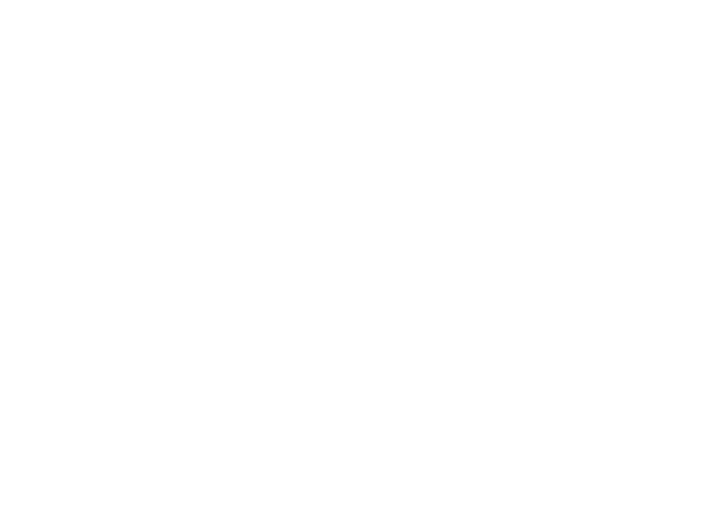 SeAgent