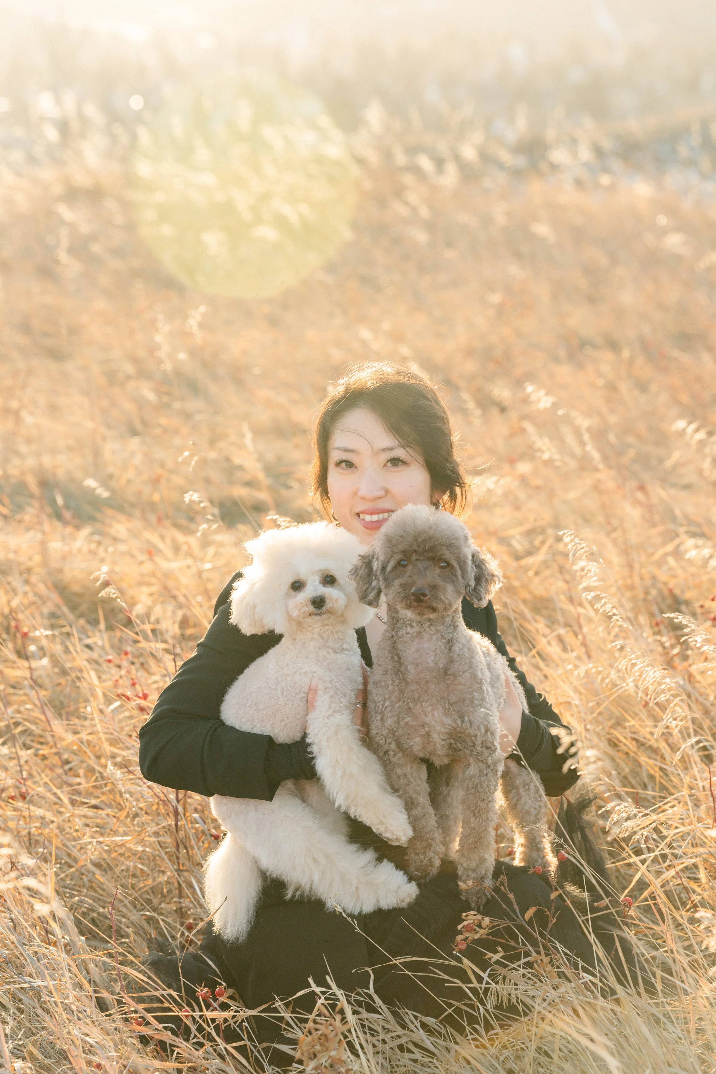 A woman sitting in a field of tall, golden grass, holding two small dogs, with sunlight illuminating the scene.