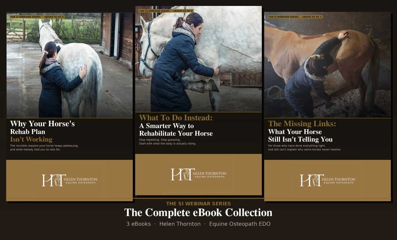 The SI Webinar Series - Complete eBook Collection