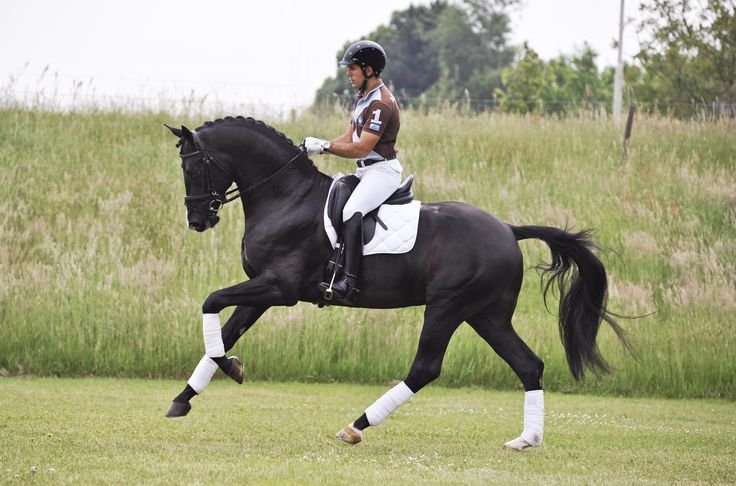 Your Horse Won't Pick Up Canter One Way?
