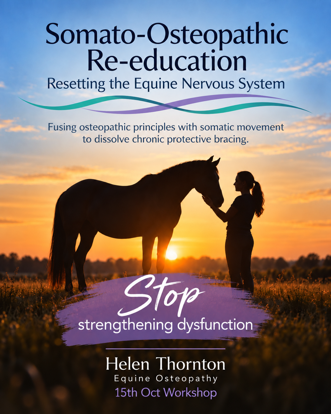 Somato-Osteopathic Re-education – Practical Workshop for Horse Owners & Equine Therapists
