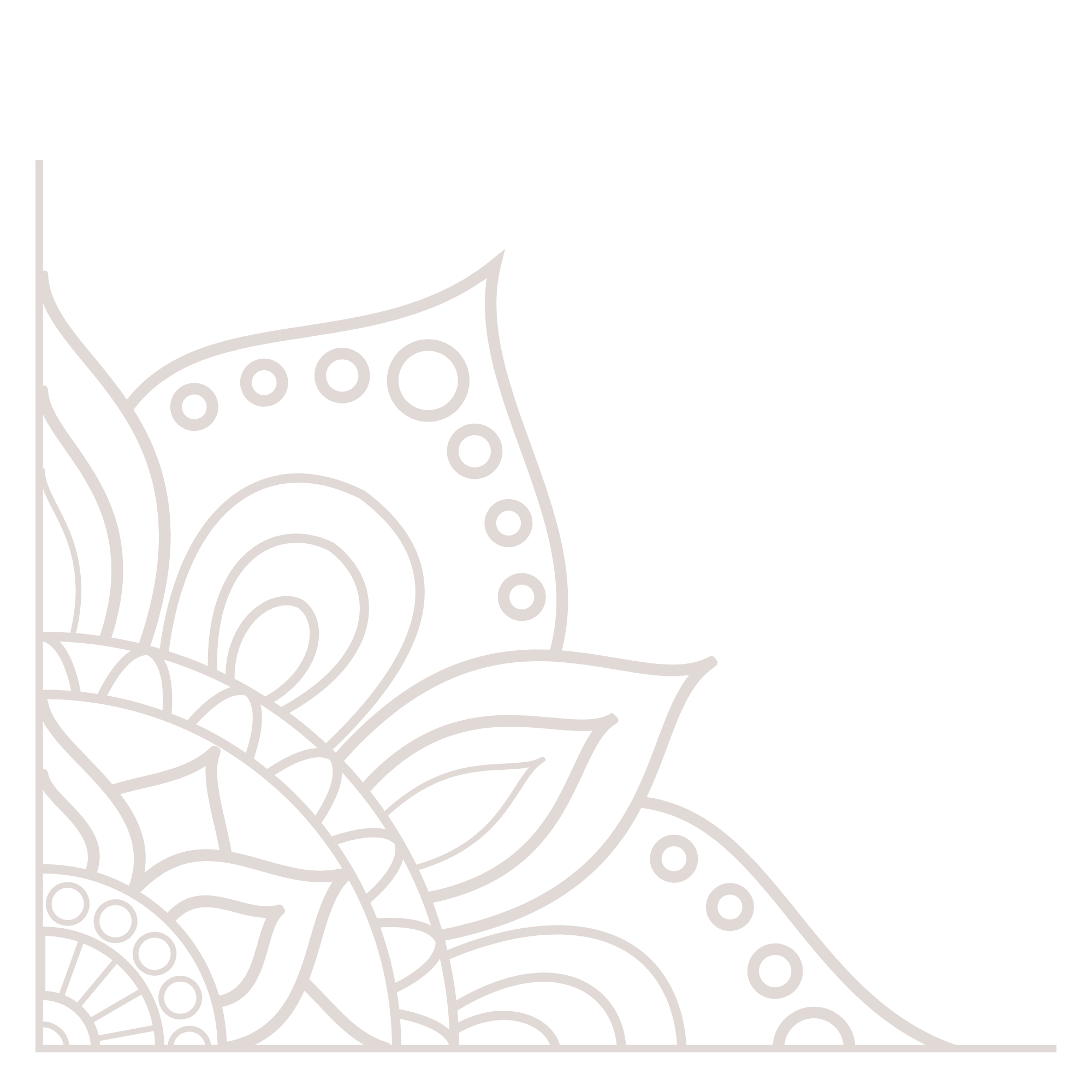 A black and white line drawing of a detailed octopus with circular patterns on its body and tentacles.