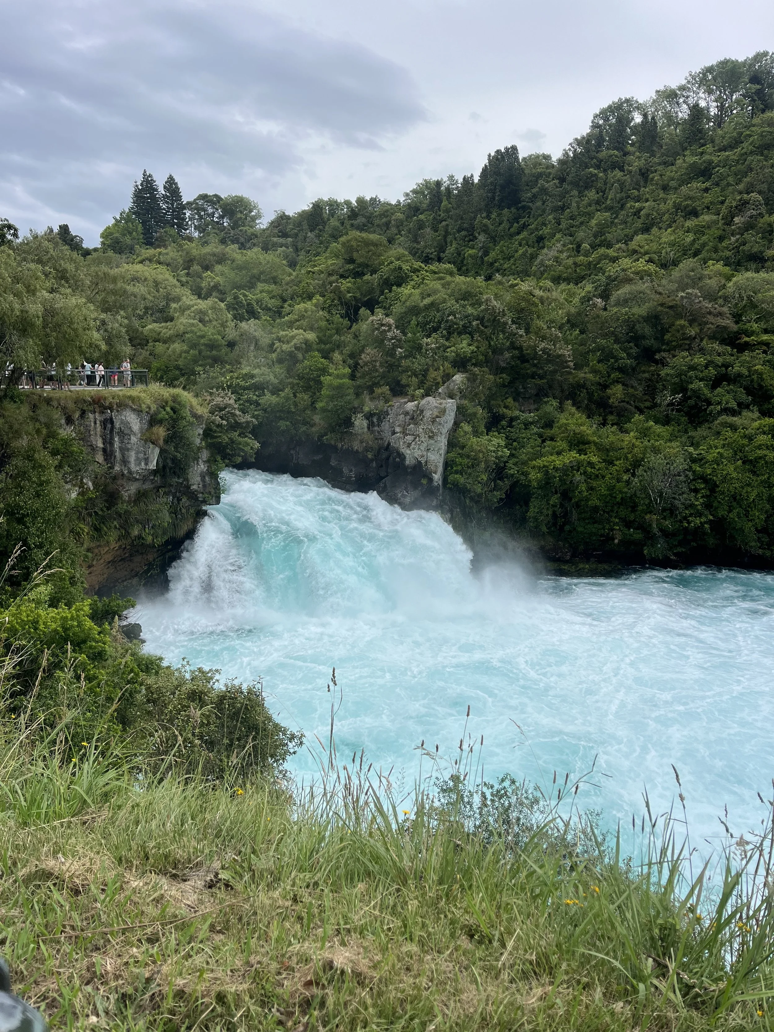 A powerful nature photo of Huka Falls in New Zealand, representing the natural flow and pathways of the nervous system.
