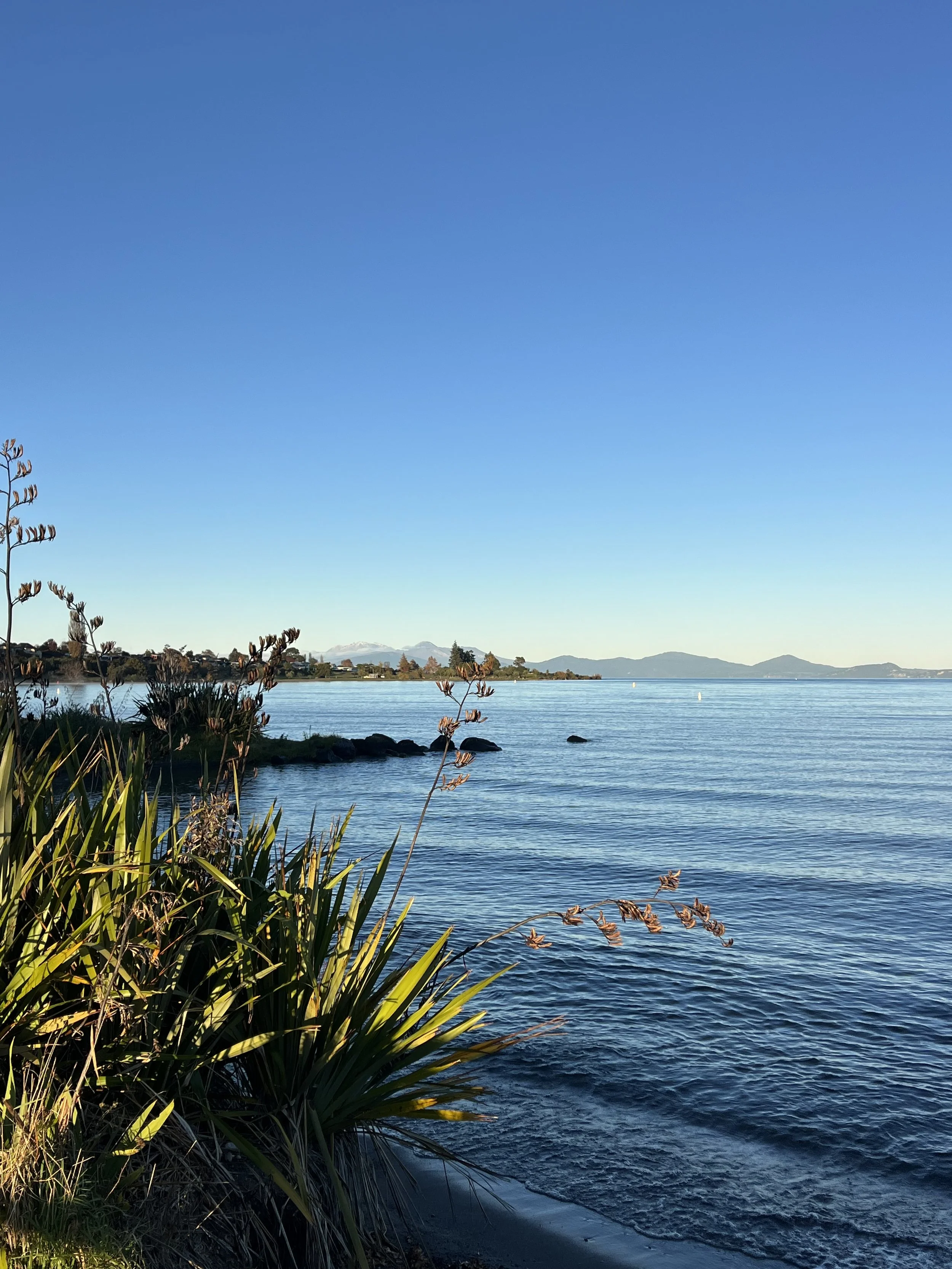 Taupo Sex Coach Michaela Tutty's blog.