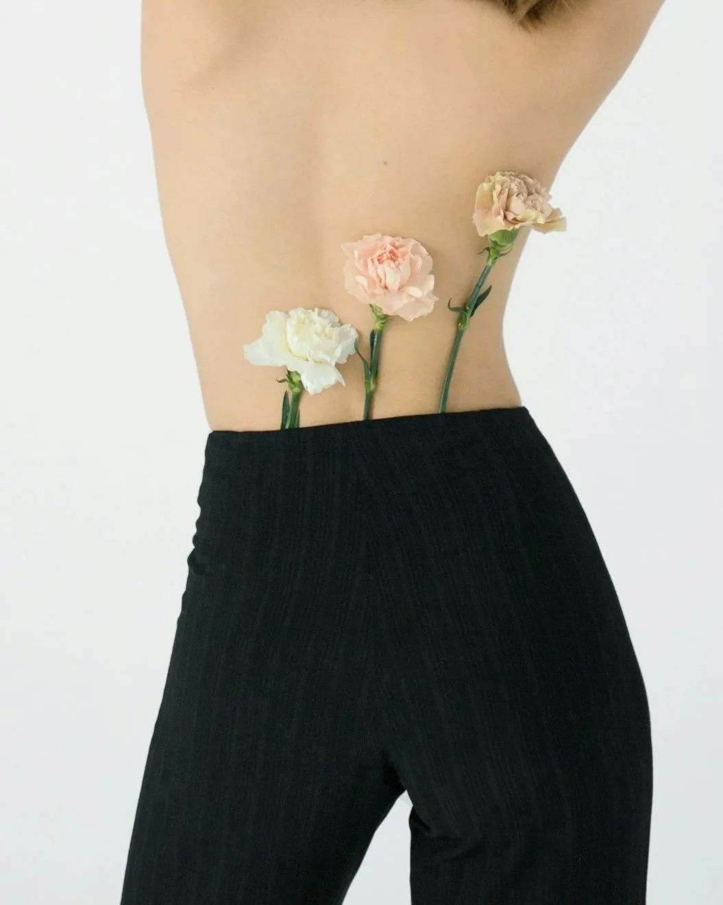 Close-up of a person's torso with carnations in their waistband, symbolising body awareness, sensory exploration, and embodied presence in somatic sexology.