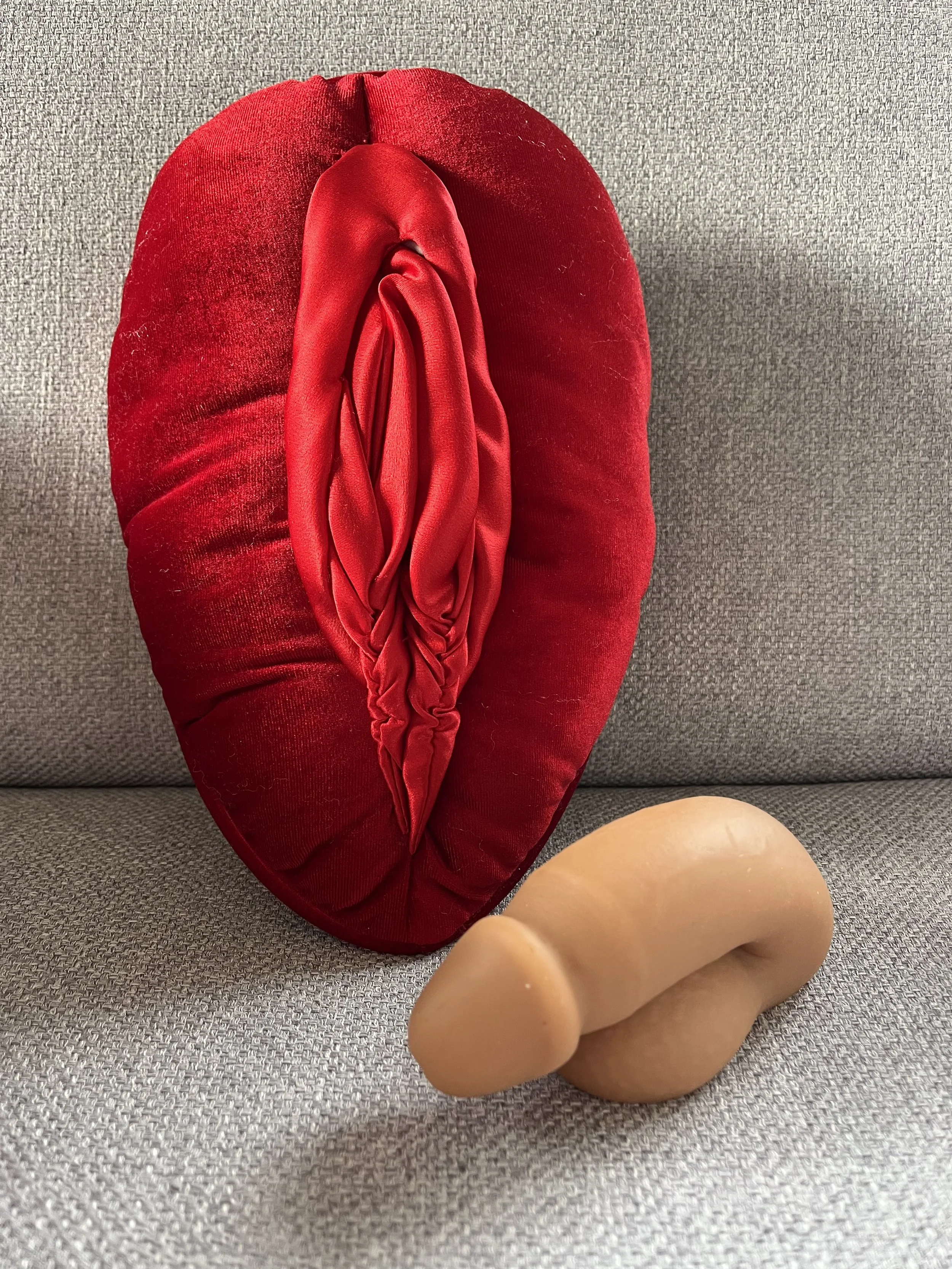 Anatomical vulva pillow and penis model used as educational props in a somatic sex coaching session.