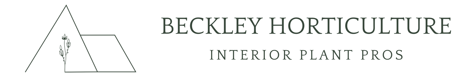 Beckley Horticulture - Interior Plant Pros