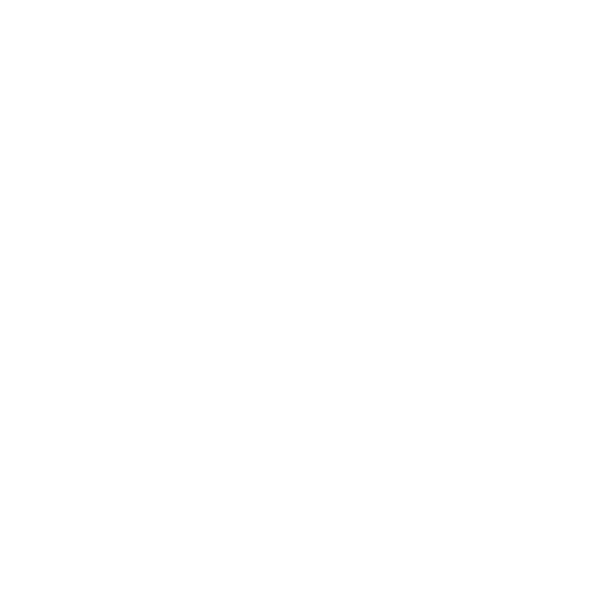 International Social Protection BV