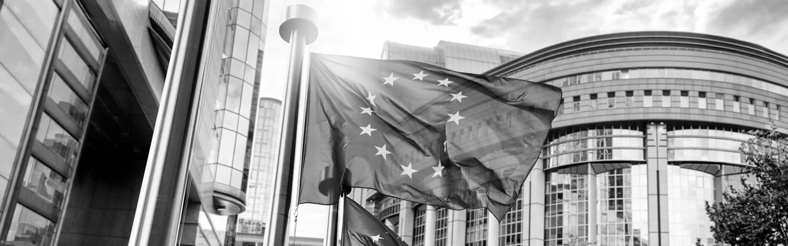 European Union flag flying outside a modern office building in black and white