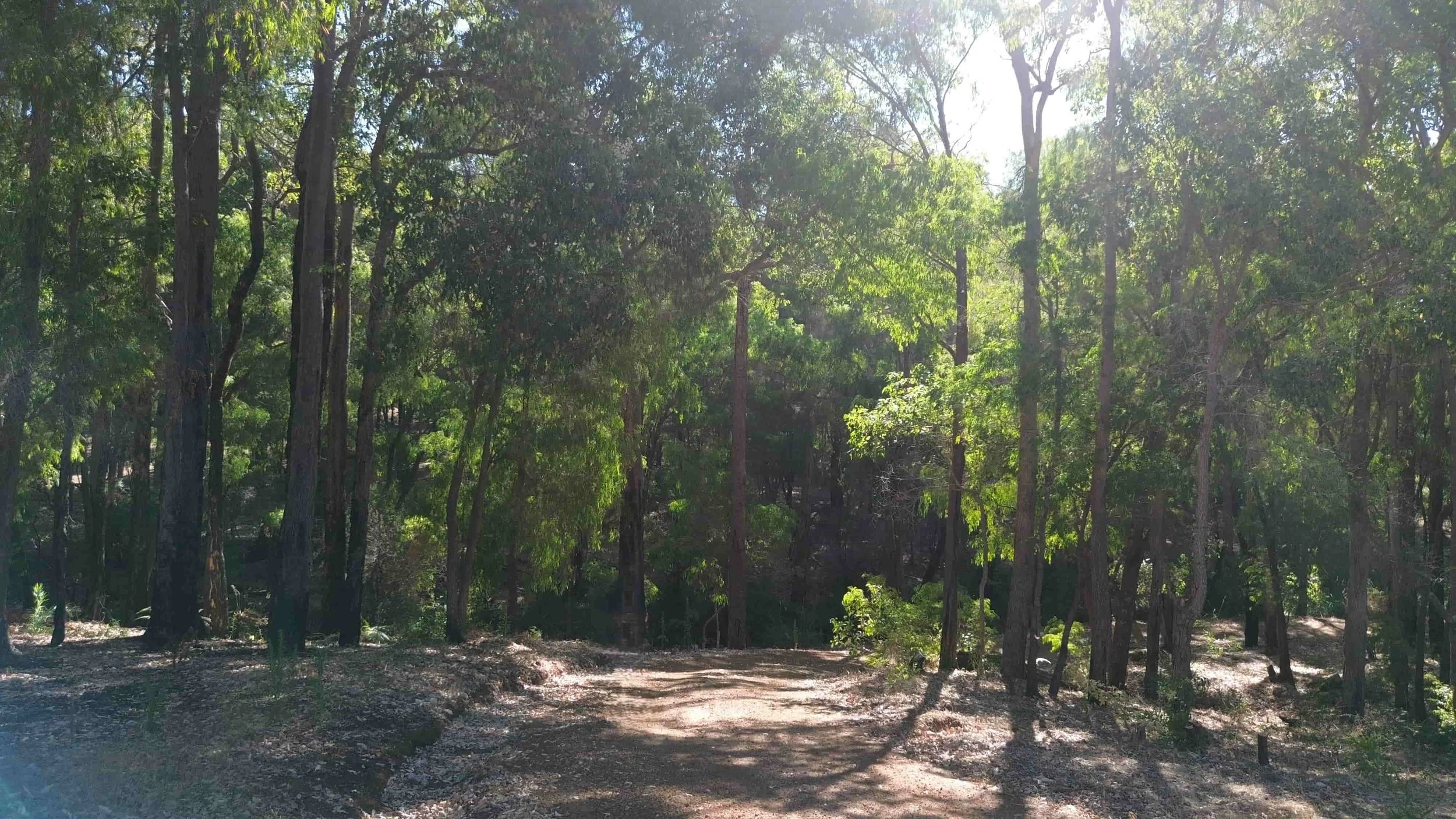 driveway looking from top 2 (1).jpg