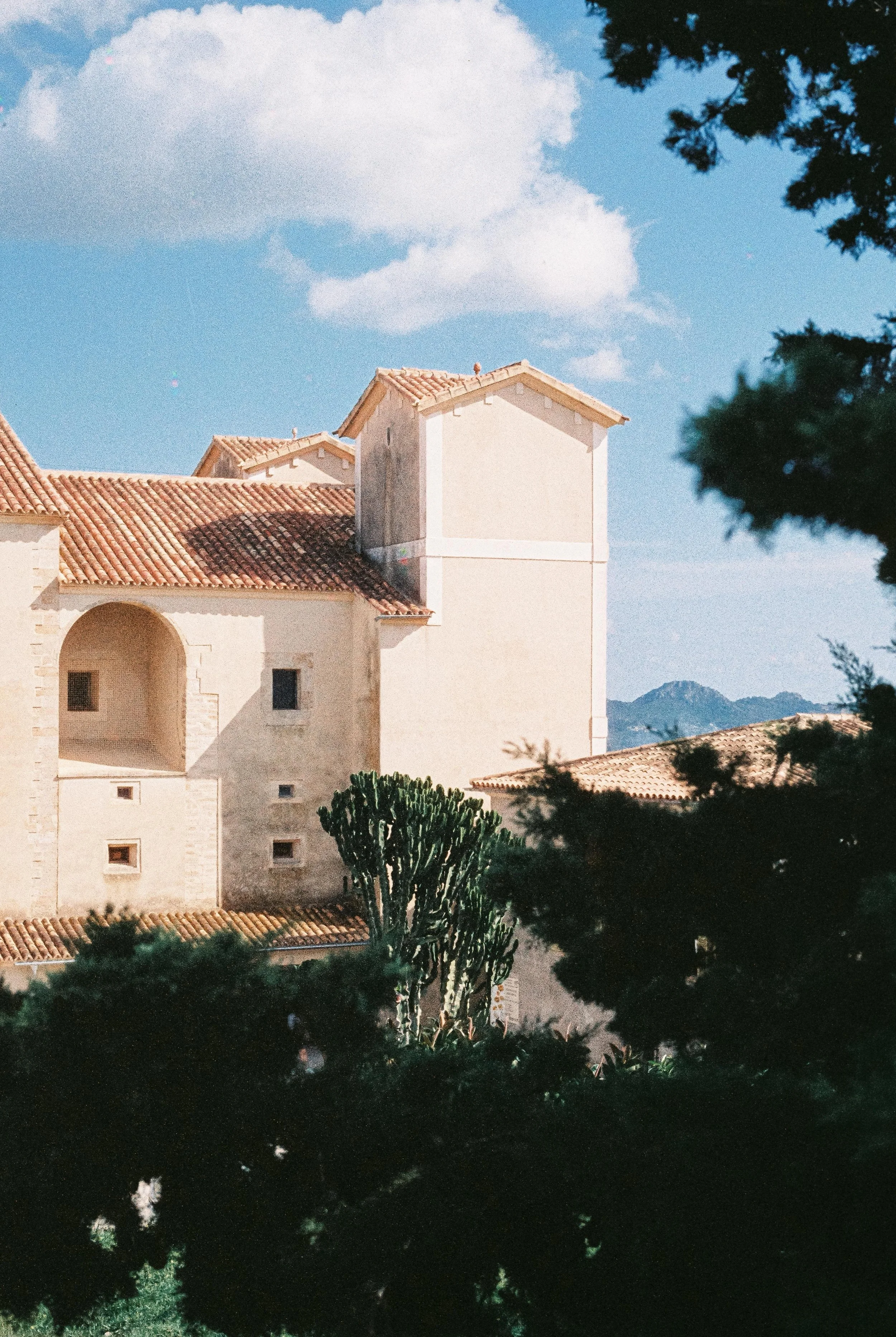 WhatsApp Image 2025-10-28 at 21.15.49.jpeg