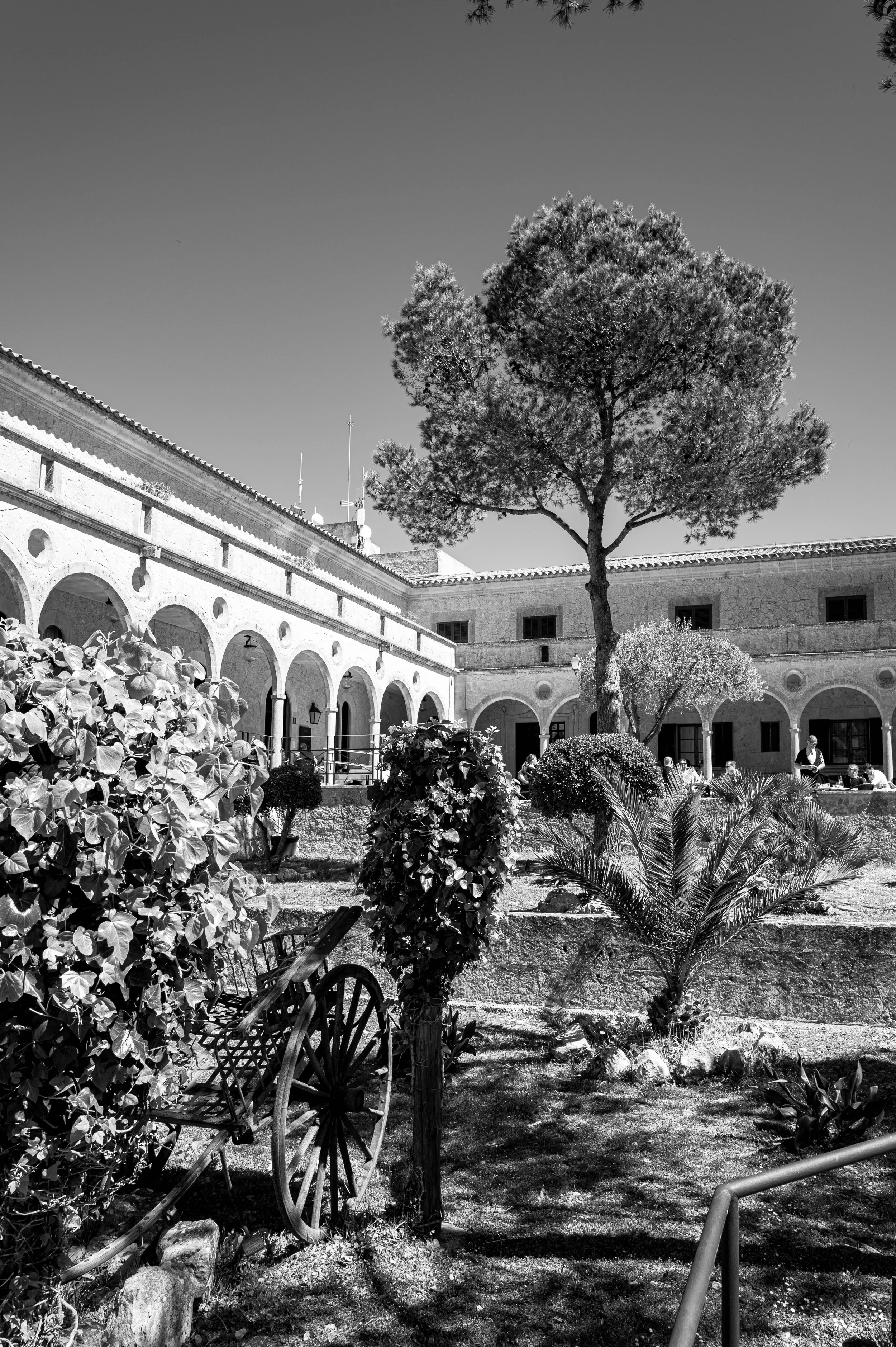L1000725.jpg