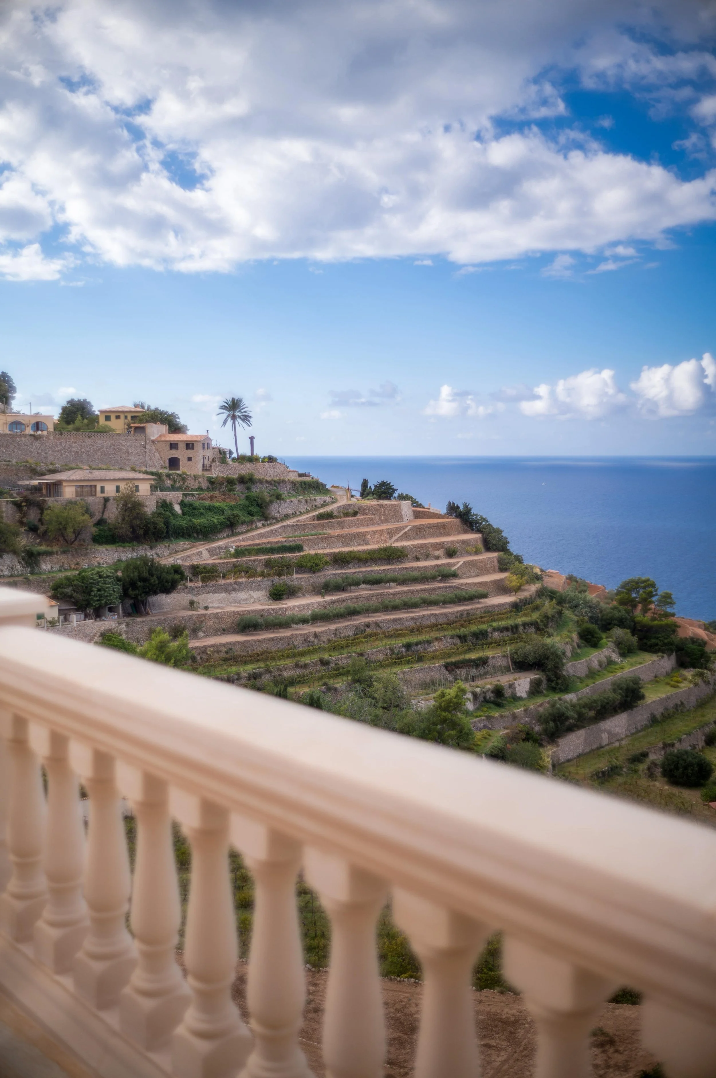 WhatsApp Image 2025-11-21 at 15.07.37.jpeg