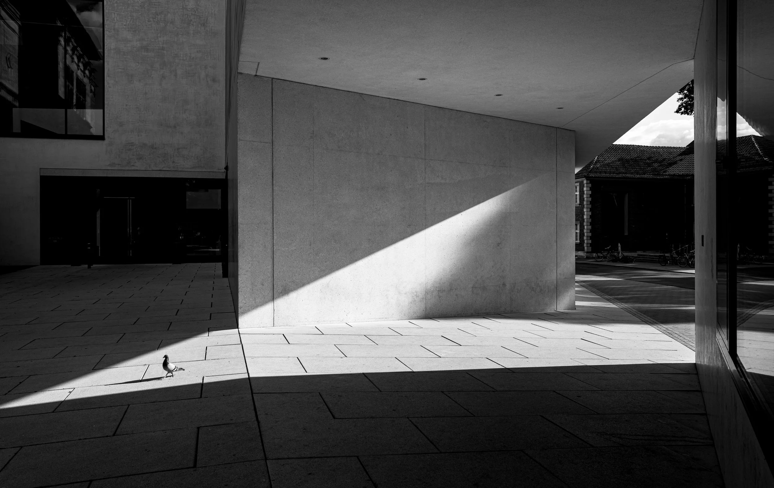 L1002260.jpg