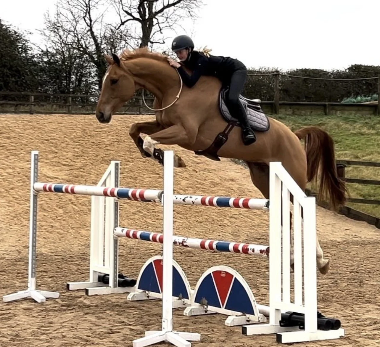 Daytime Competition Spectator