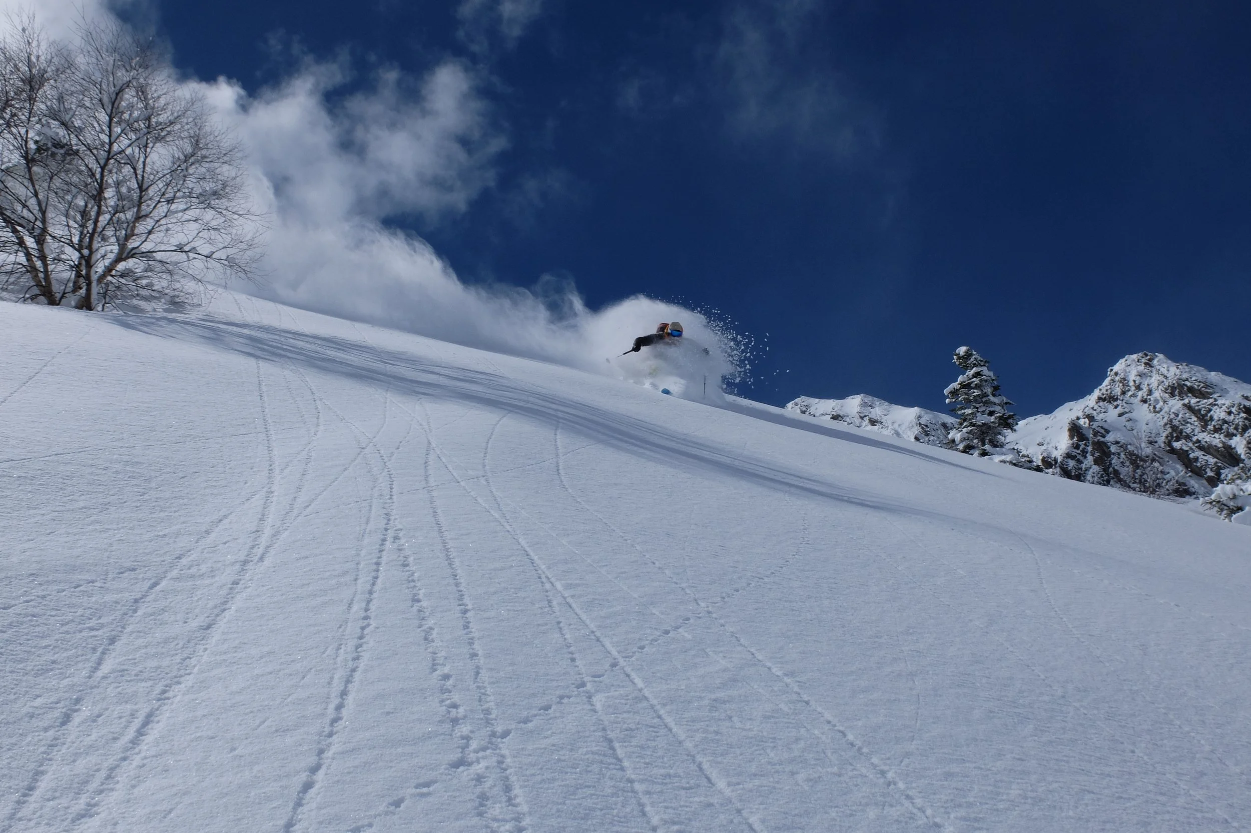 Skiing.JPG